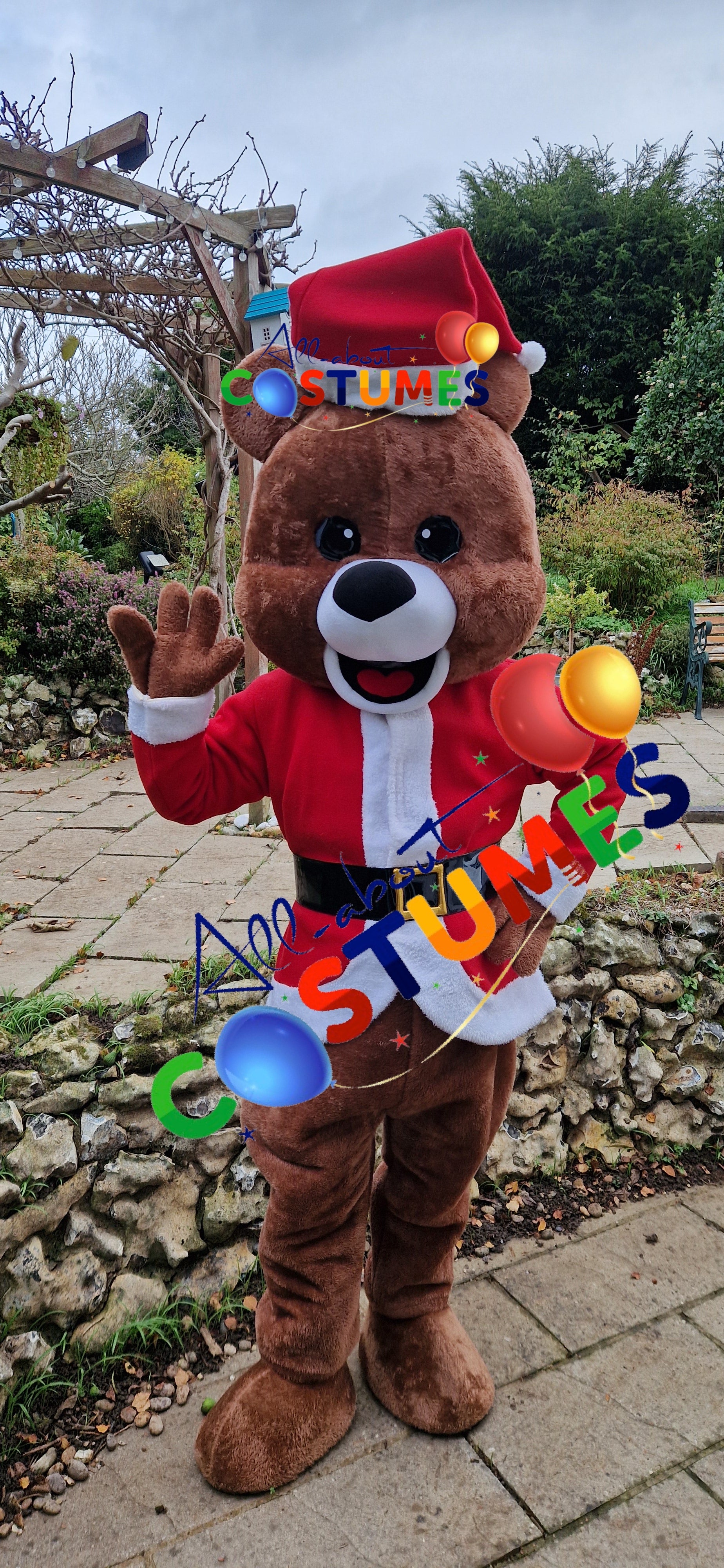 Z Elf en el estante Navidad