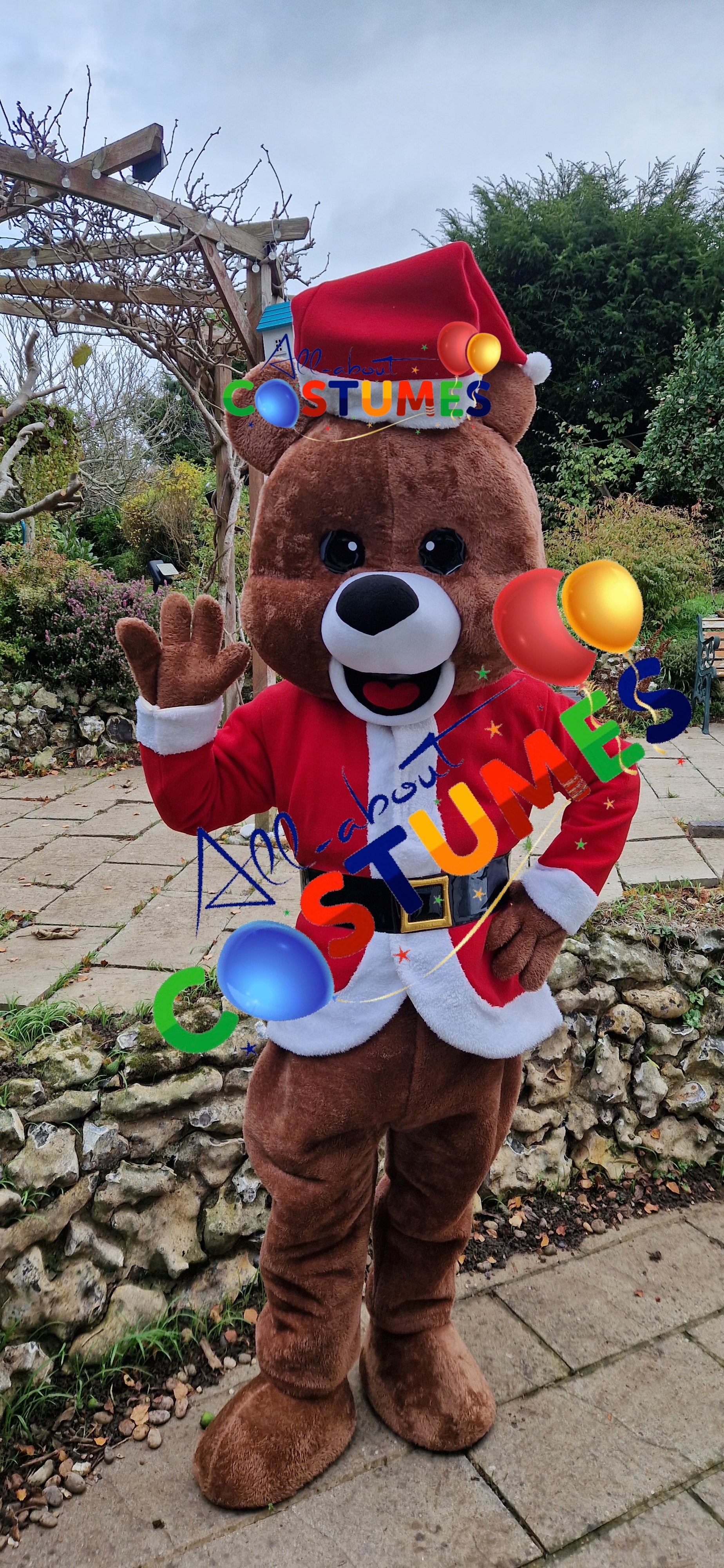 Z Elf en el estante Navidad