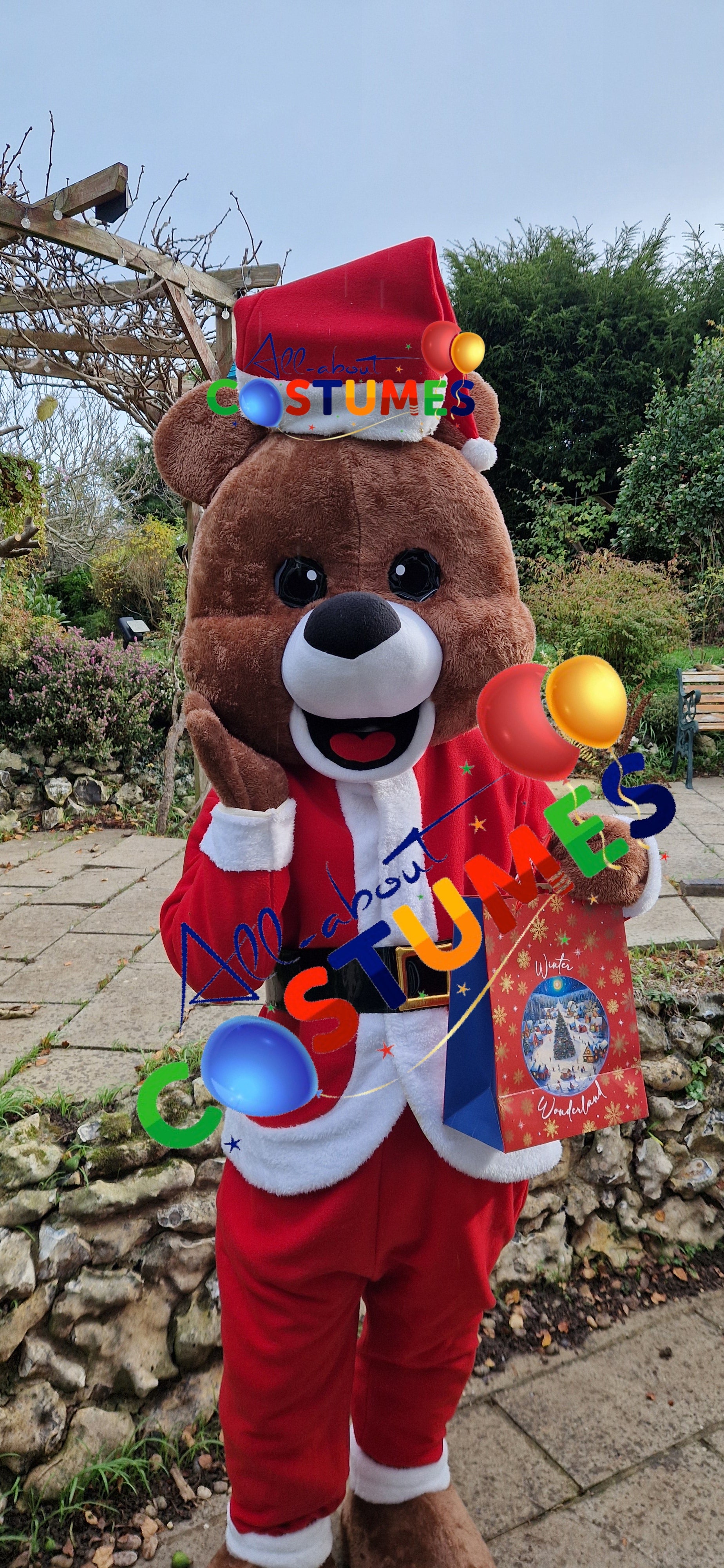 Z Elf en el estante Navidad