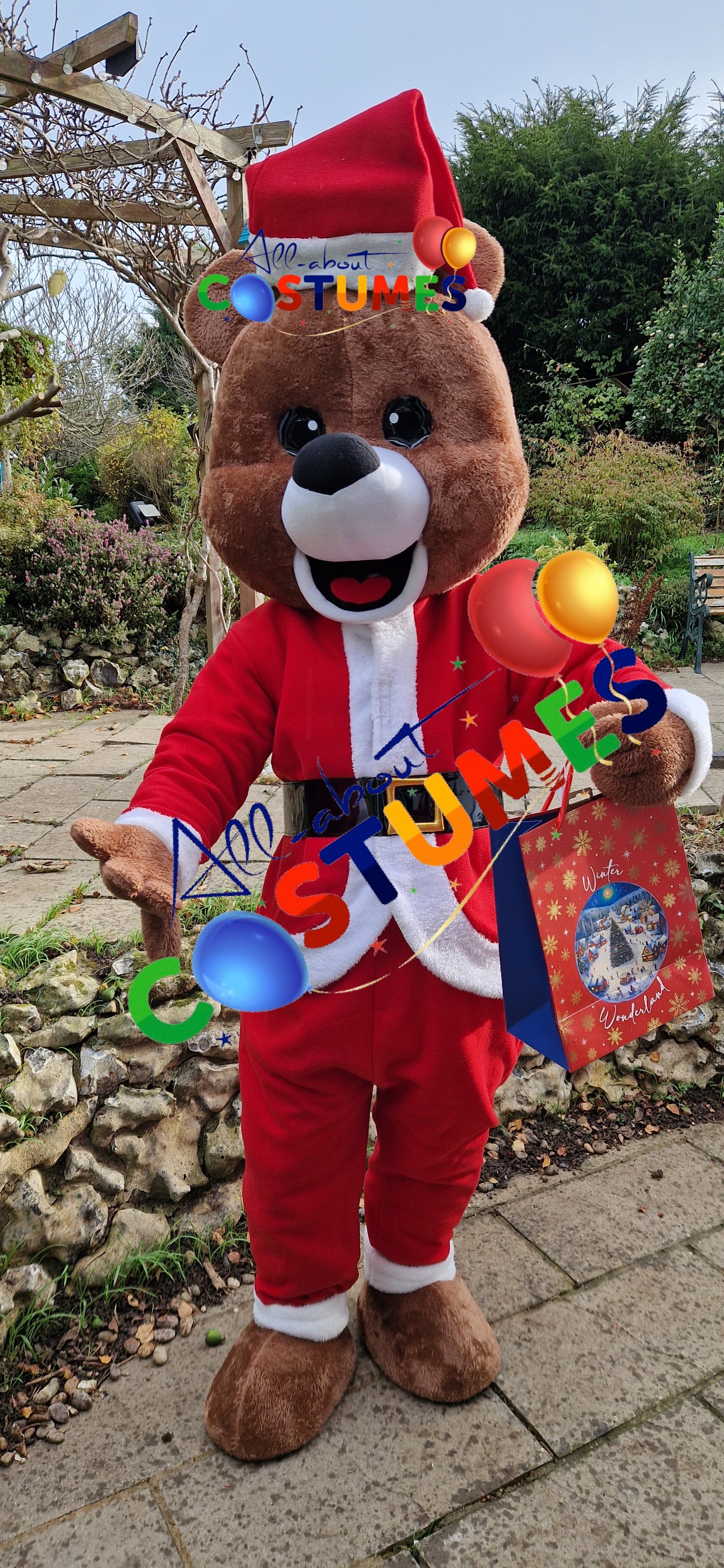 Z Elf en el estante Navidad