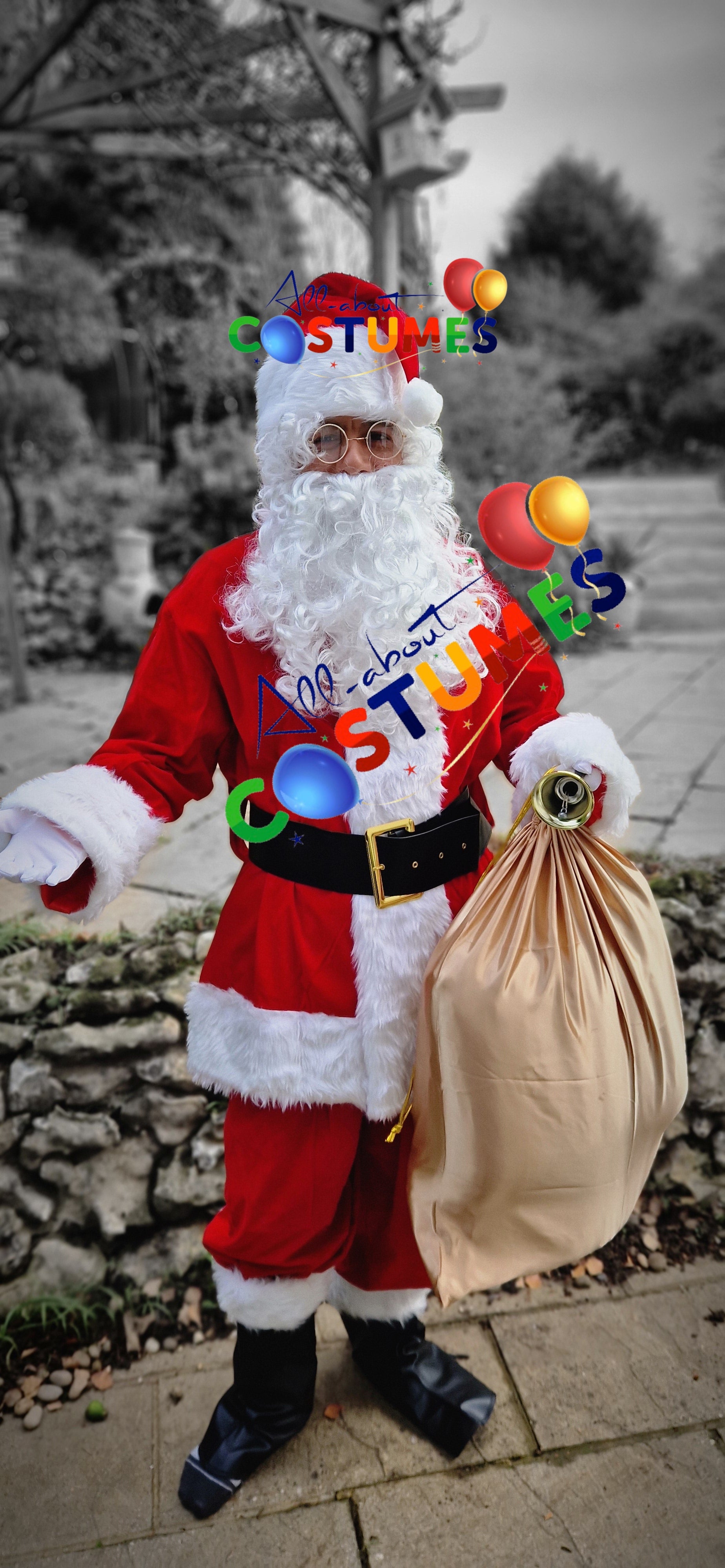 Z Elf en el estante Navidad