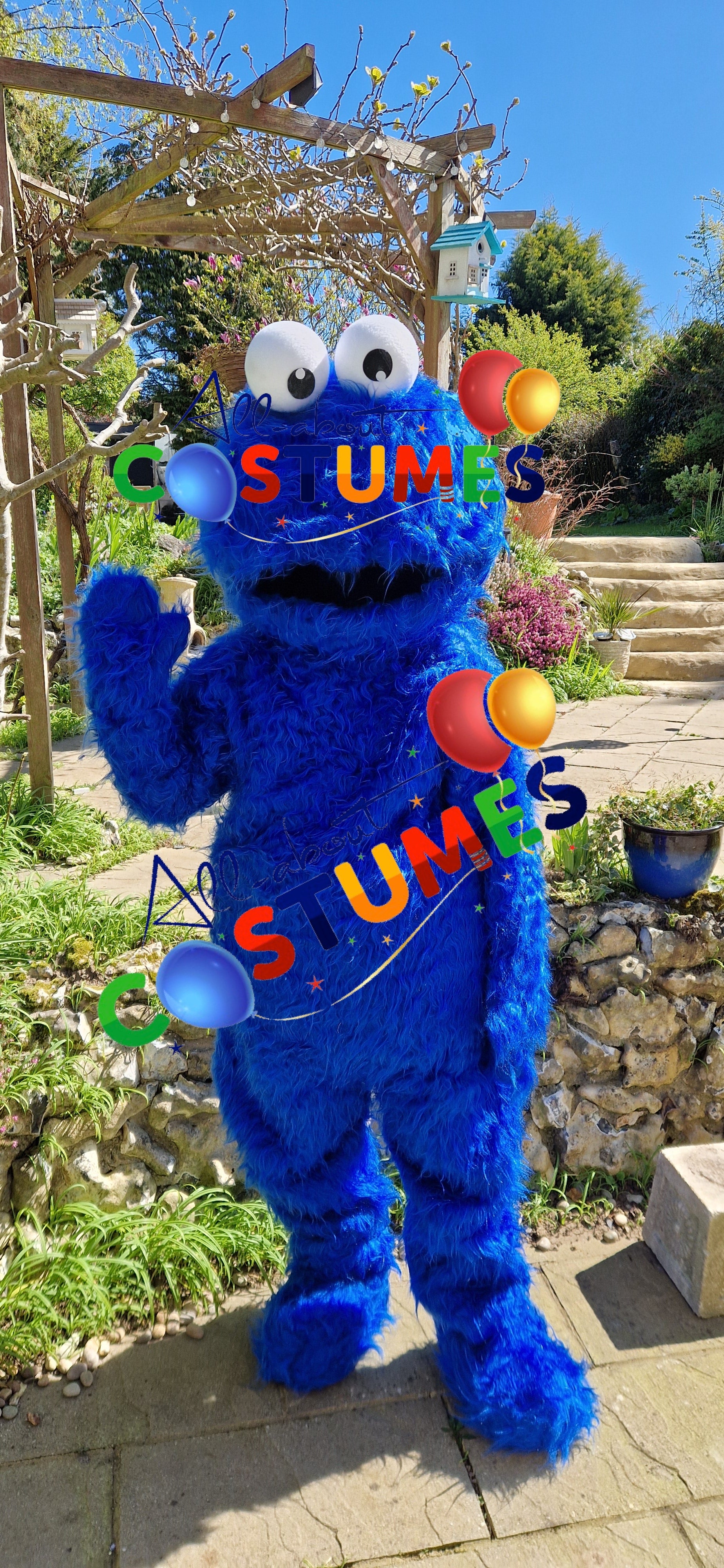 Cookie Monster Sesame Street