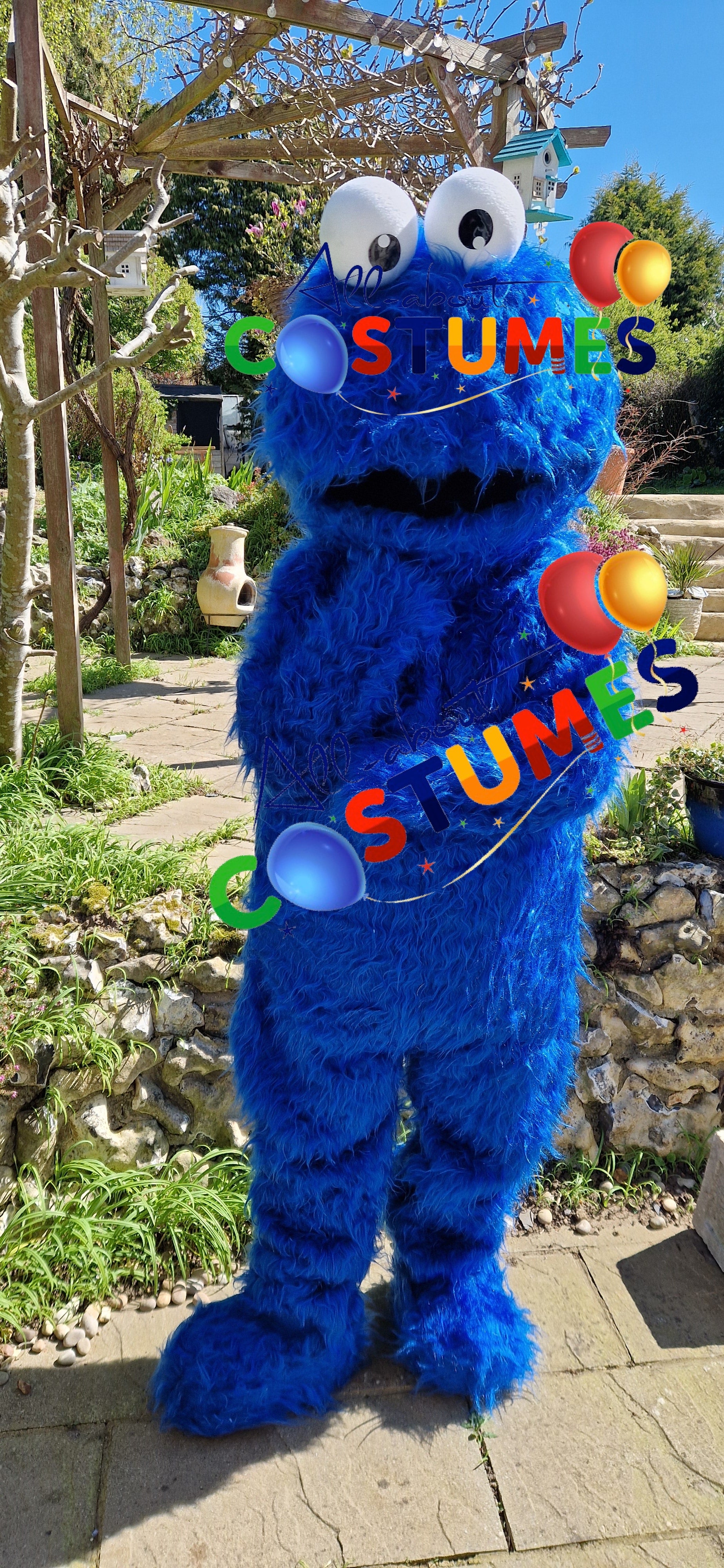 Cookie Monster Sesame Street