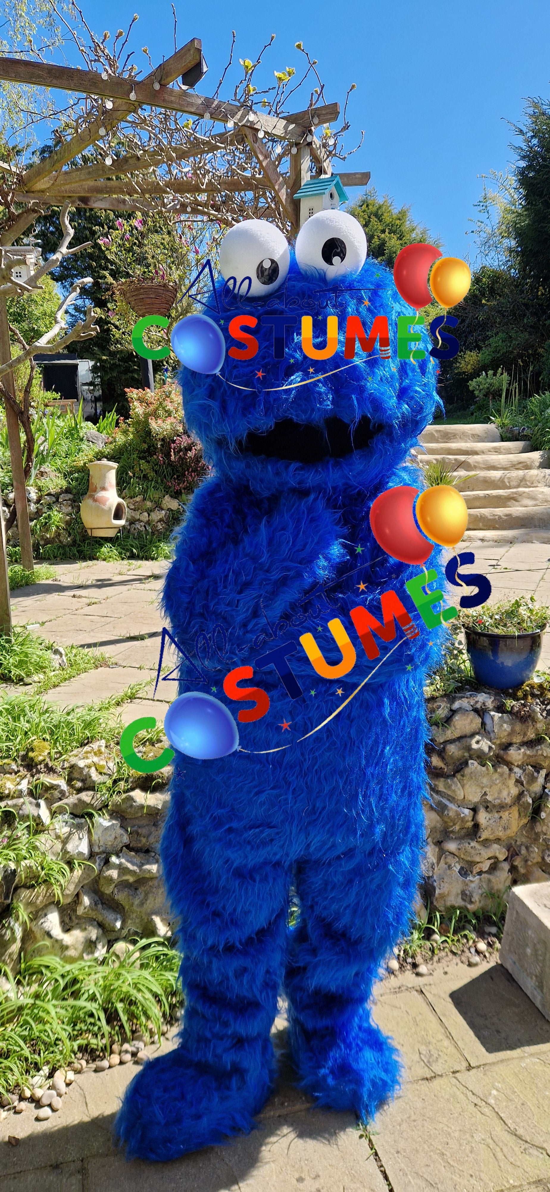 Cookie Monster Sesame Street