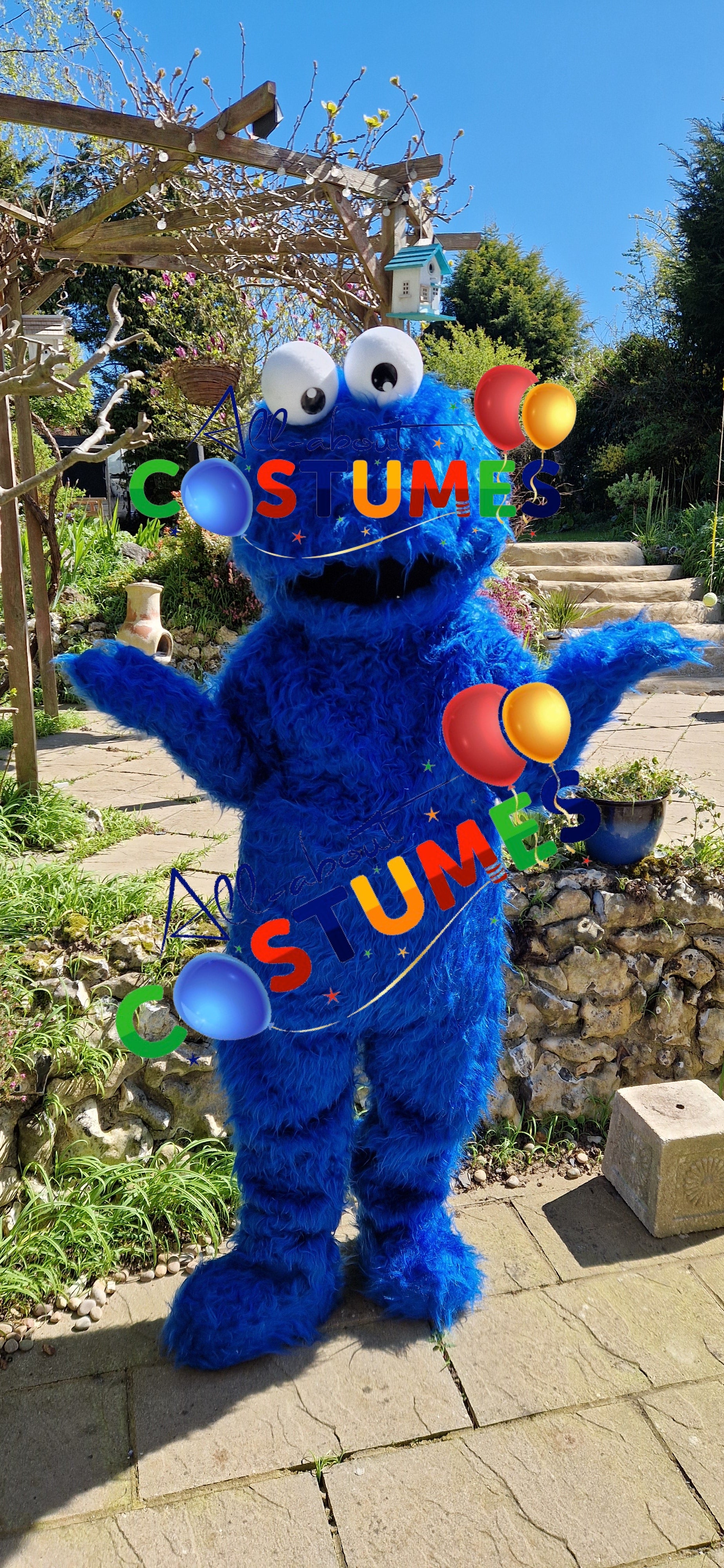 Cookie Monster Sesame Street