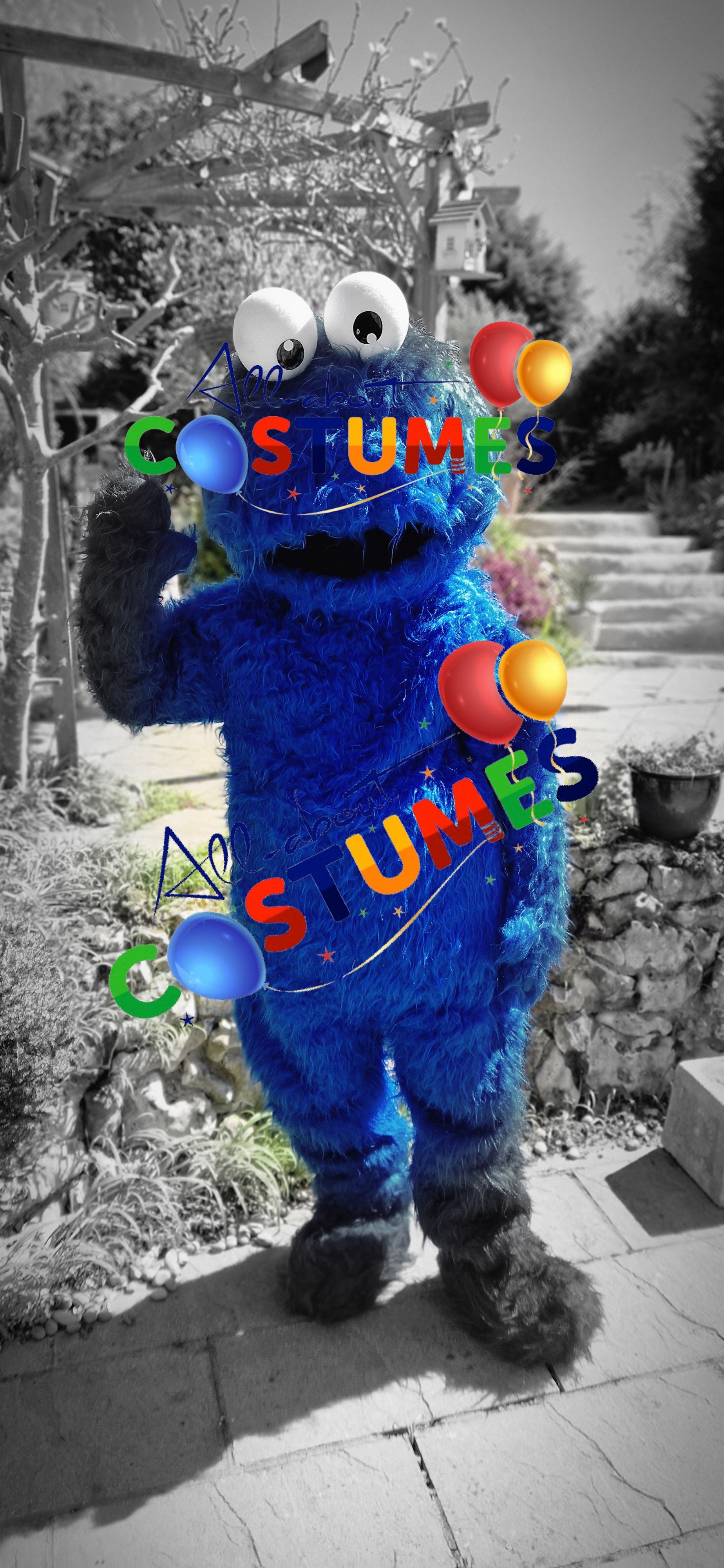 Cookie Monster Sesame Street