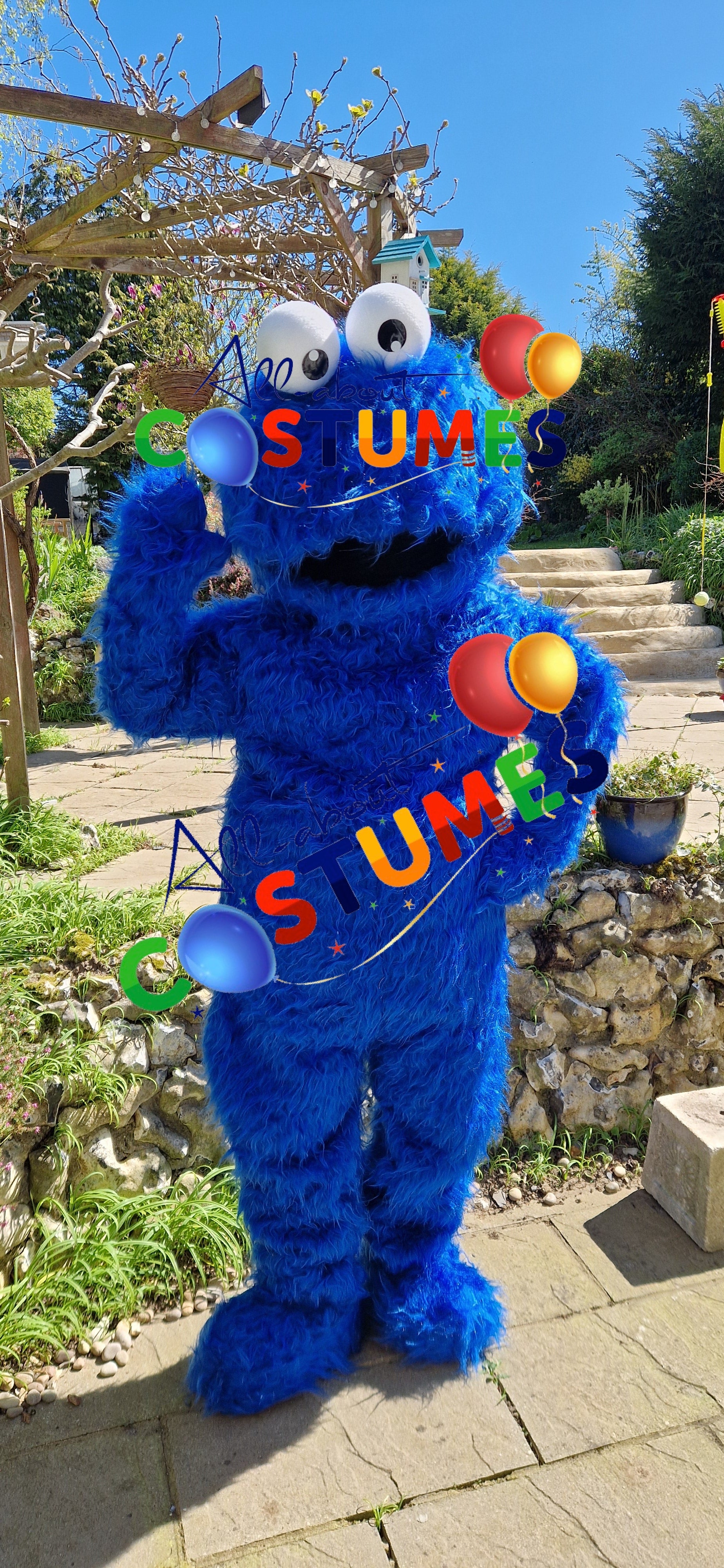 Cookie Monster Sesame Street