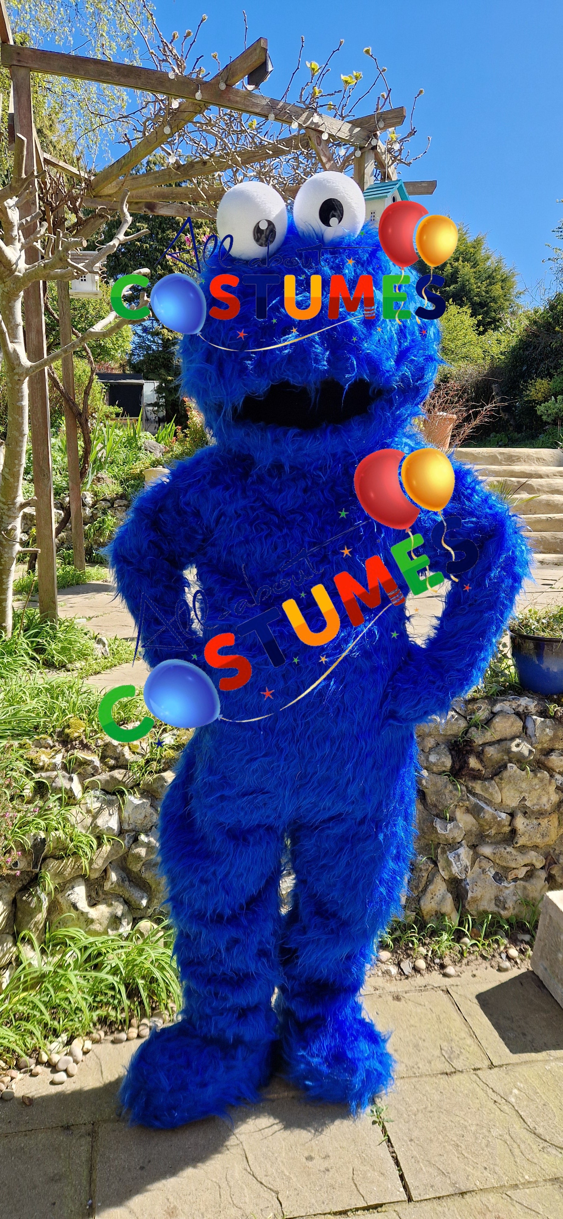 Cookie Monster Sesame Street