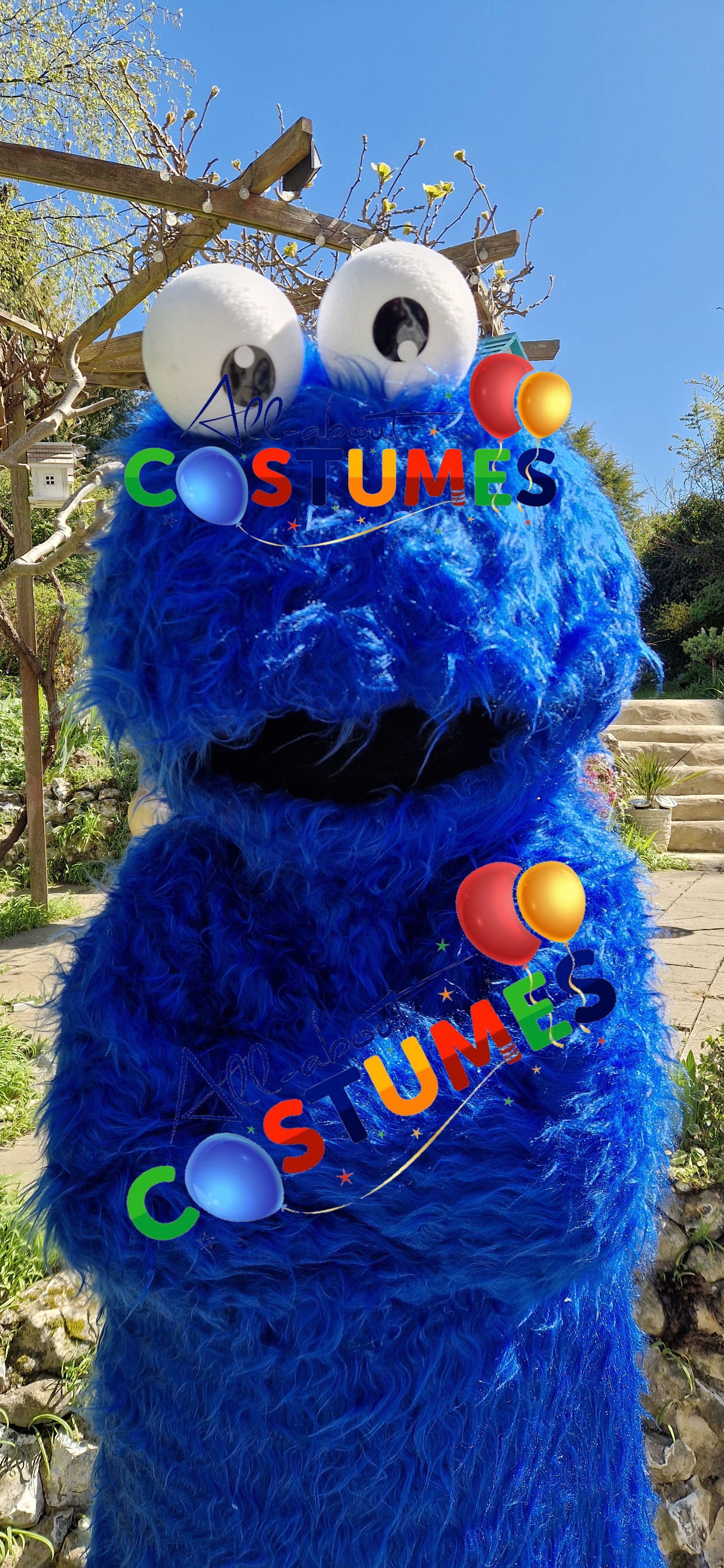 Cookie Monster Sesame Street