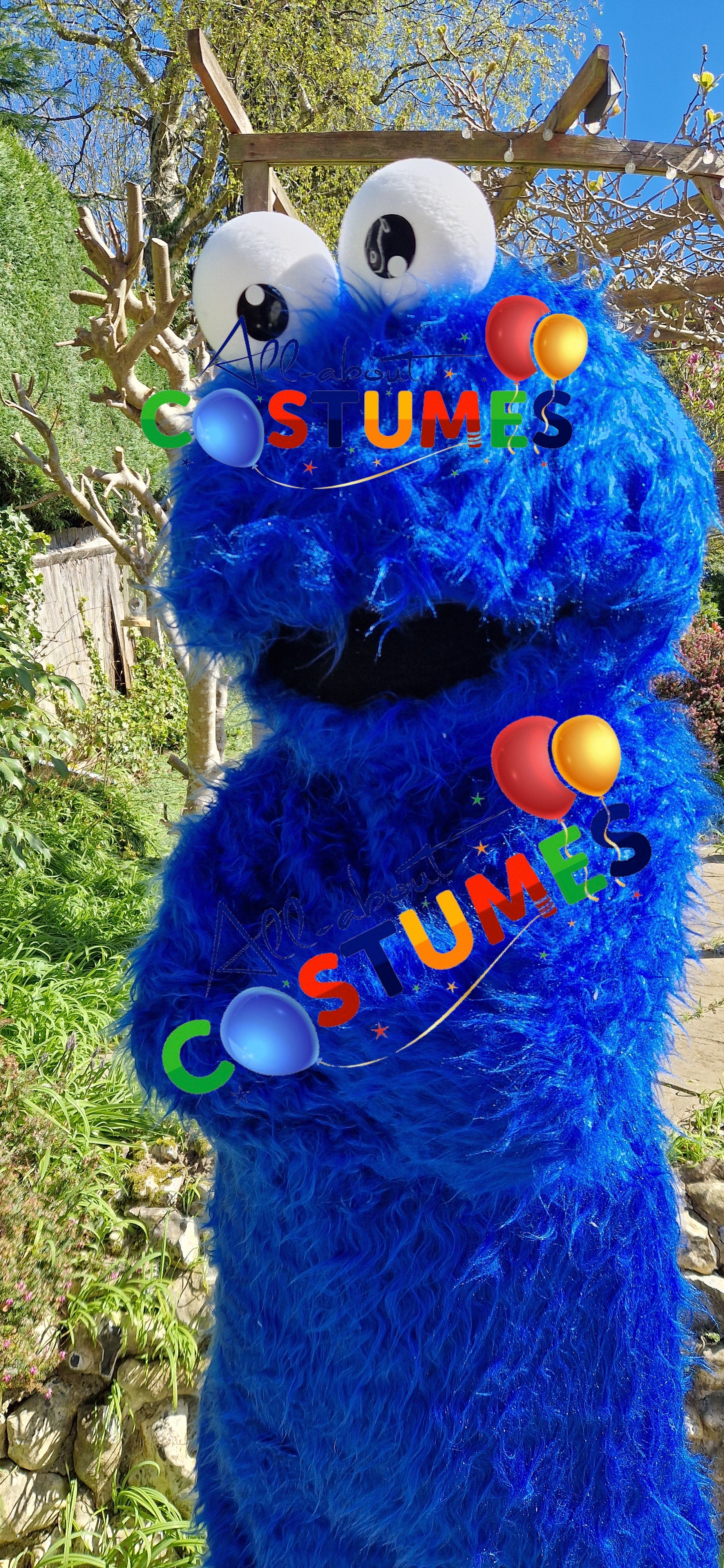 Cookie Monster Sesame Street