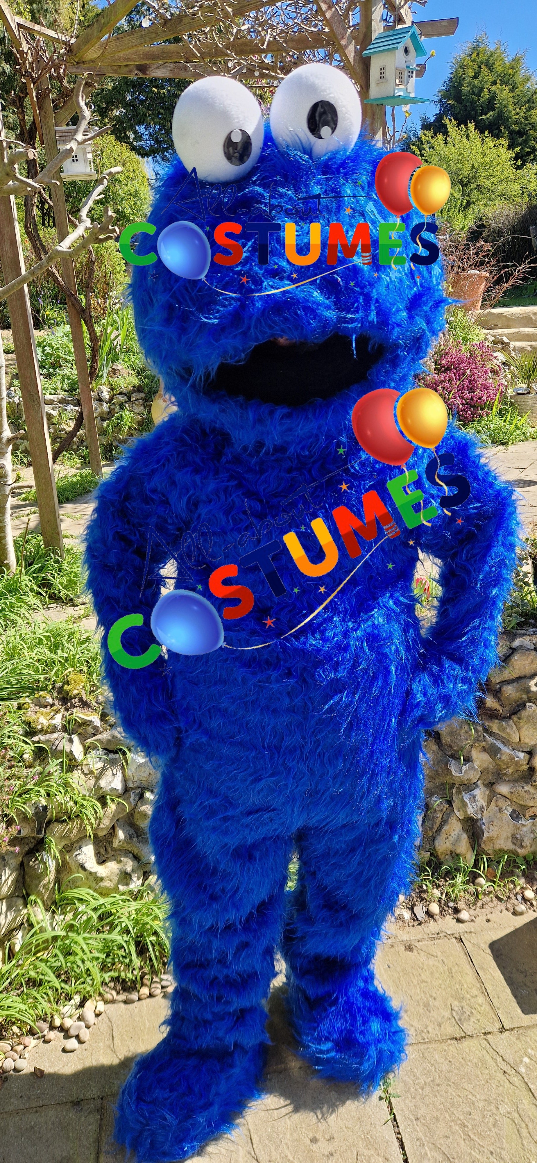 Cookie Monster Sesame Street