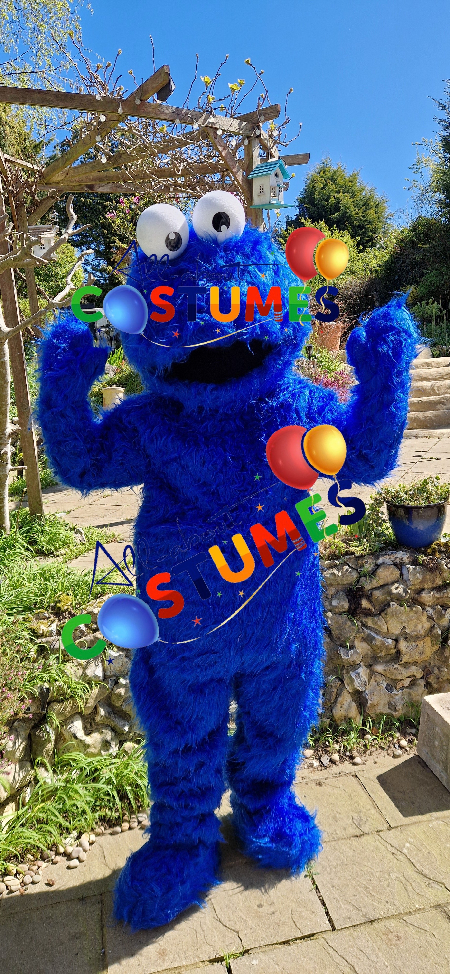 Cookie Monster Sesame Street