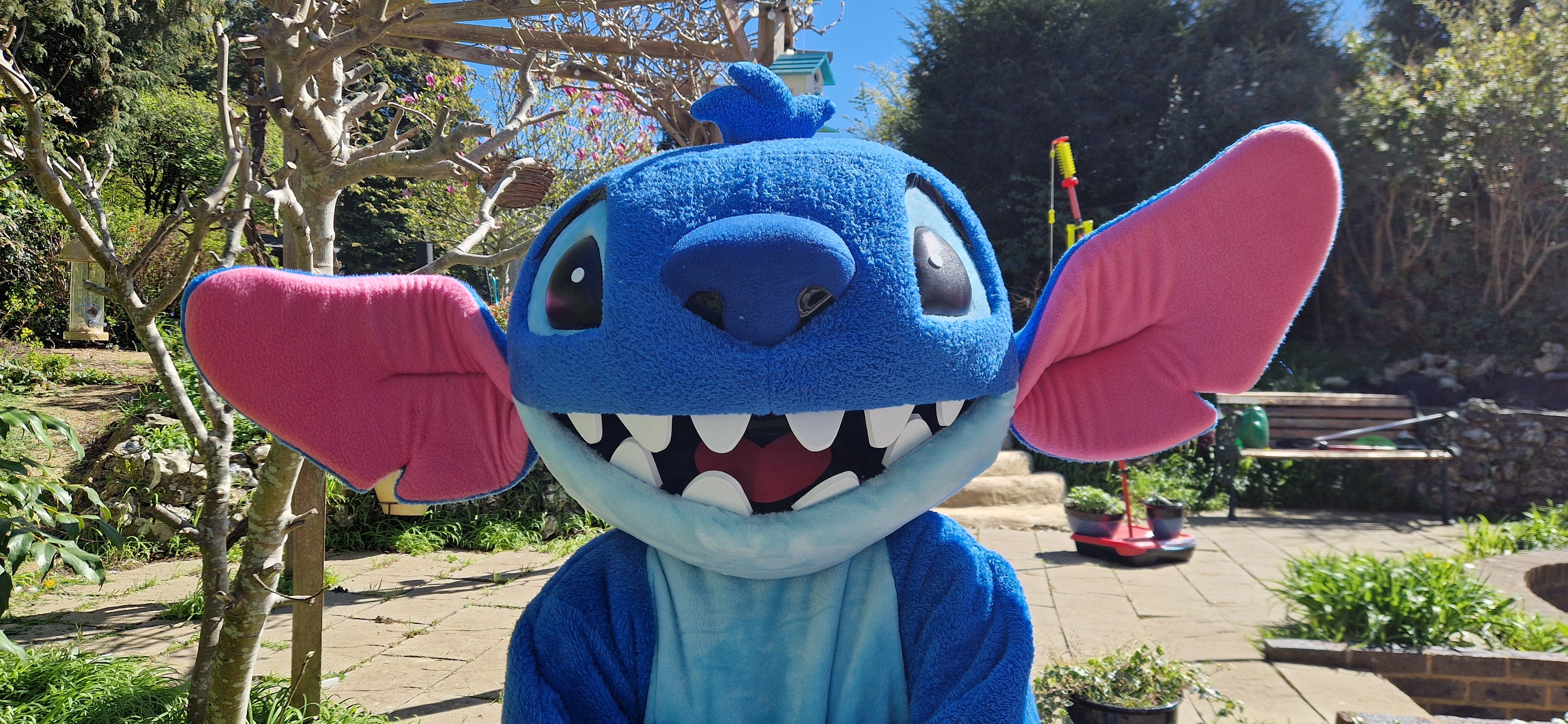 Stitch Costume B