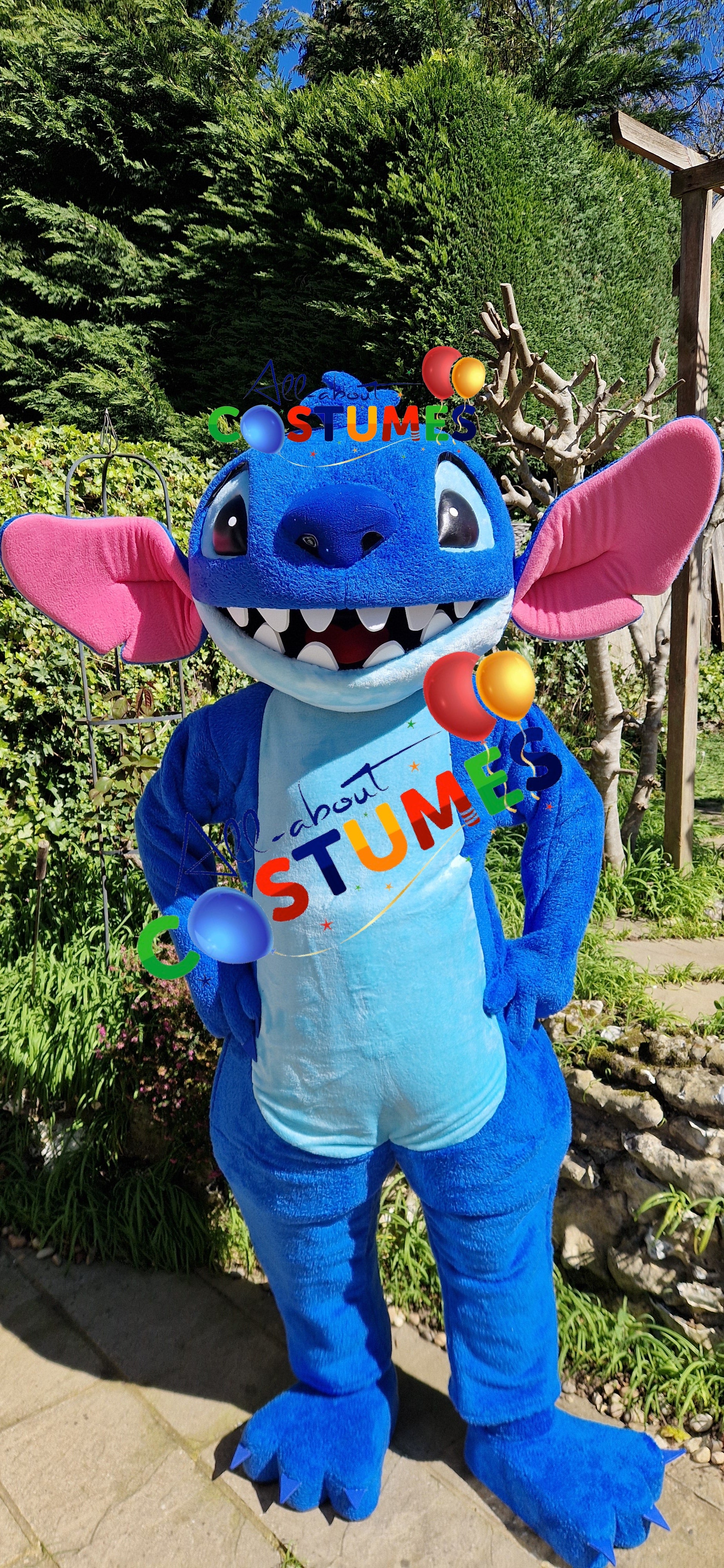 Stitch Costume B