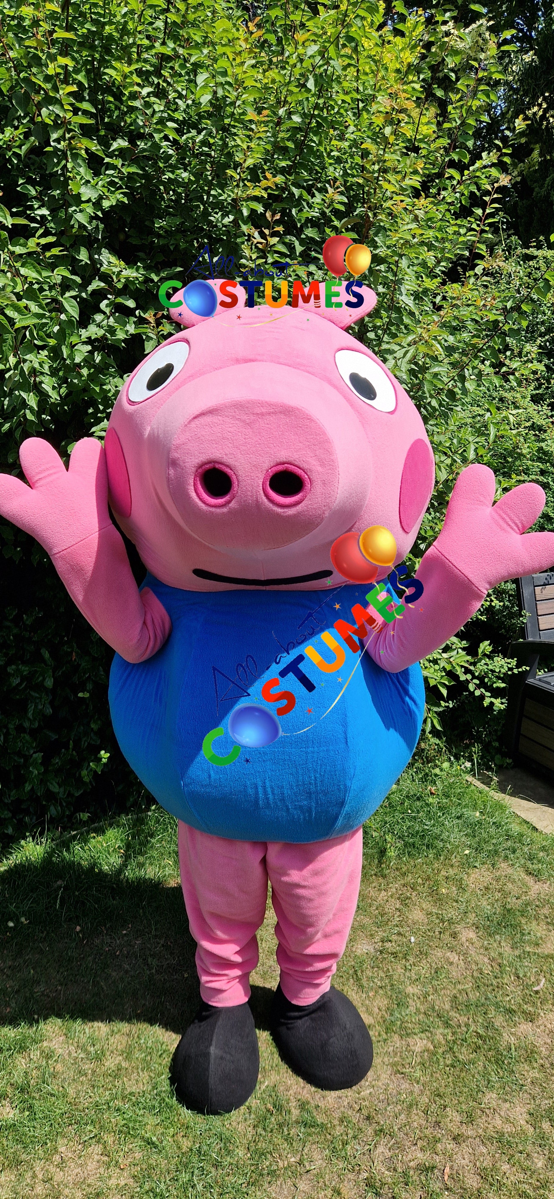 George Pig Family