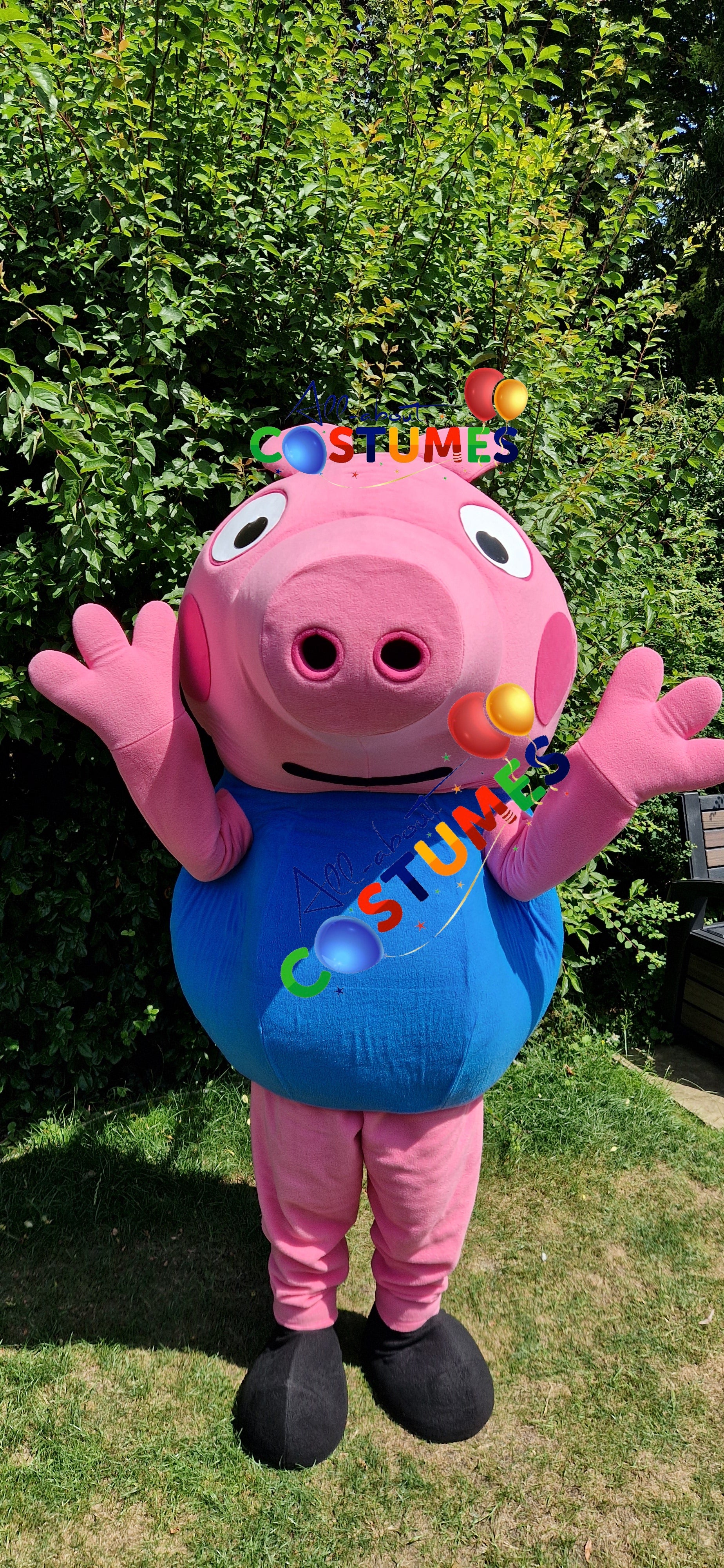 George Pig Family