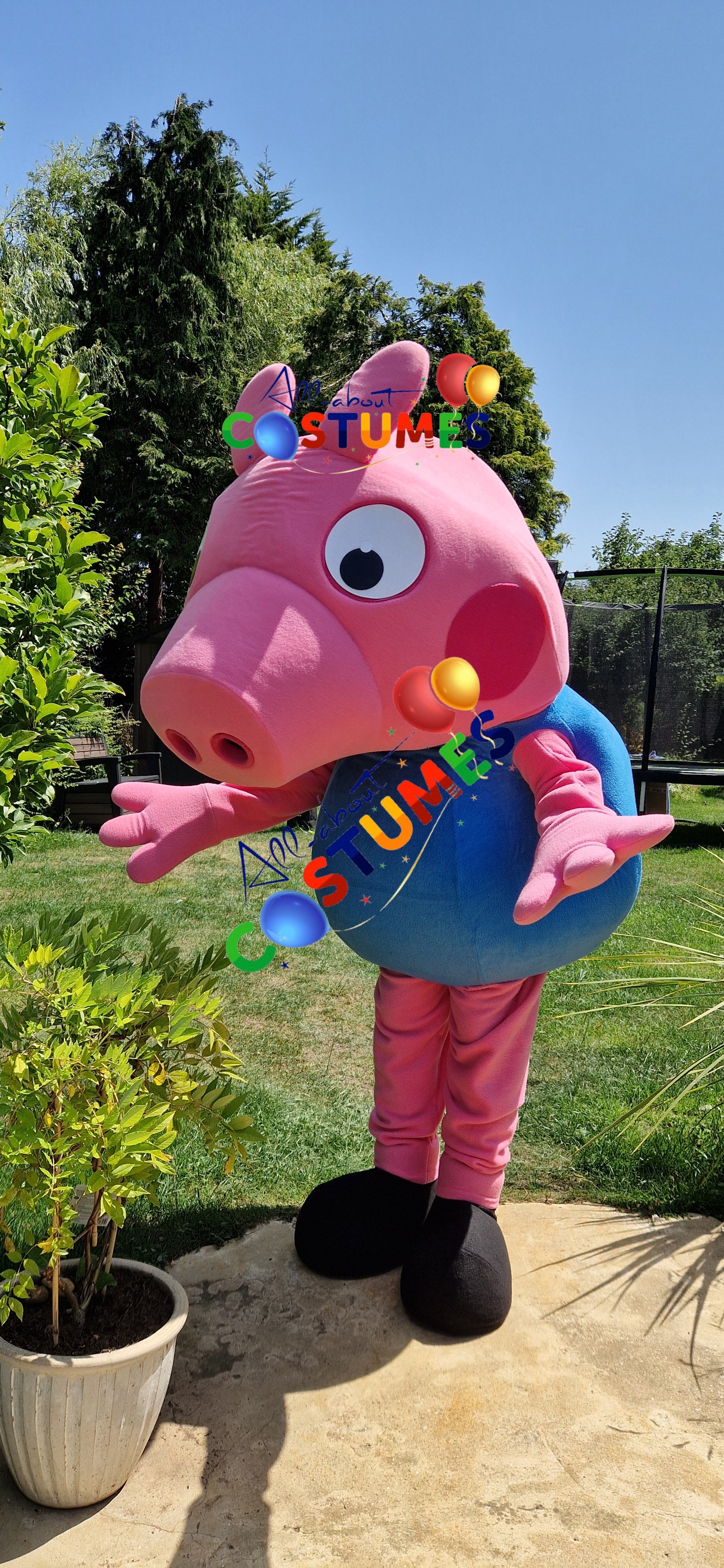 George Pig Family