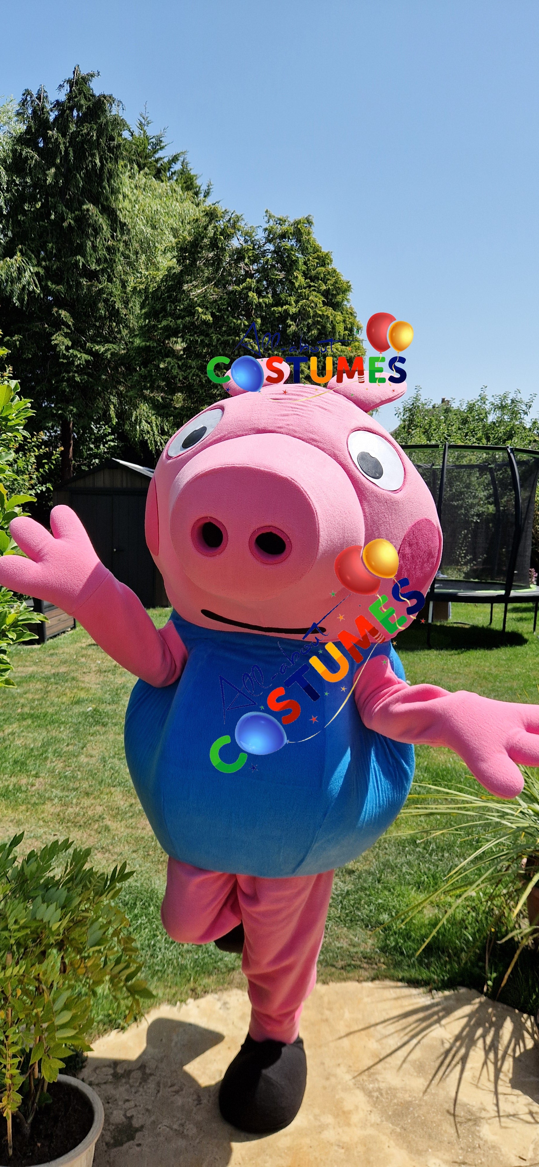 George Pig Family