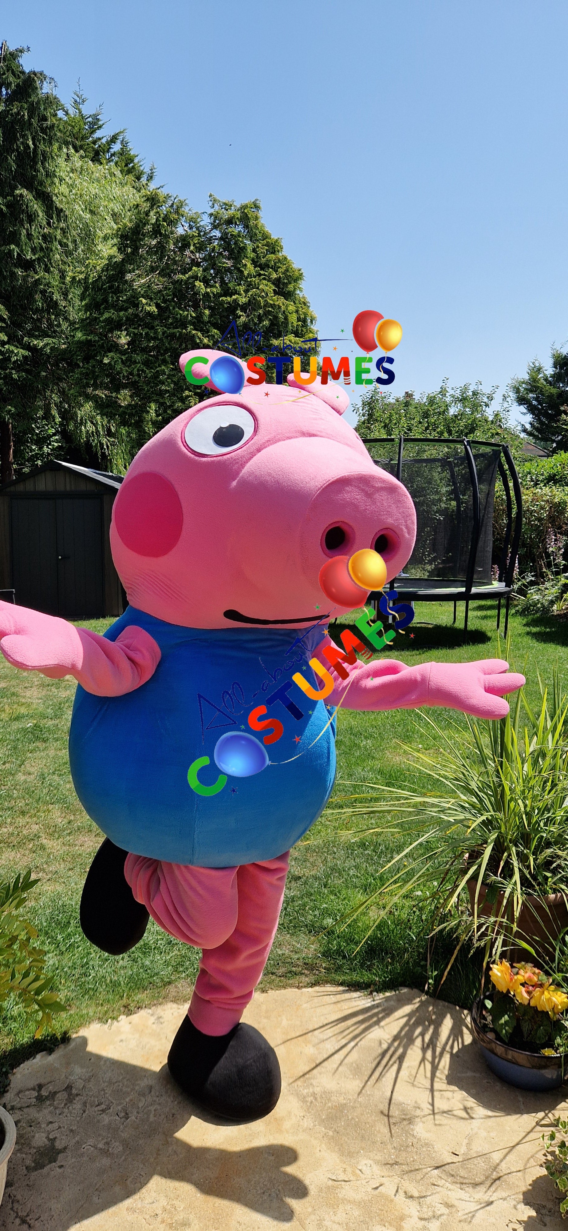 George Pig Family