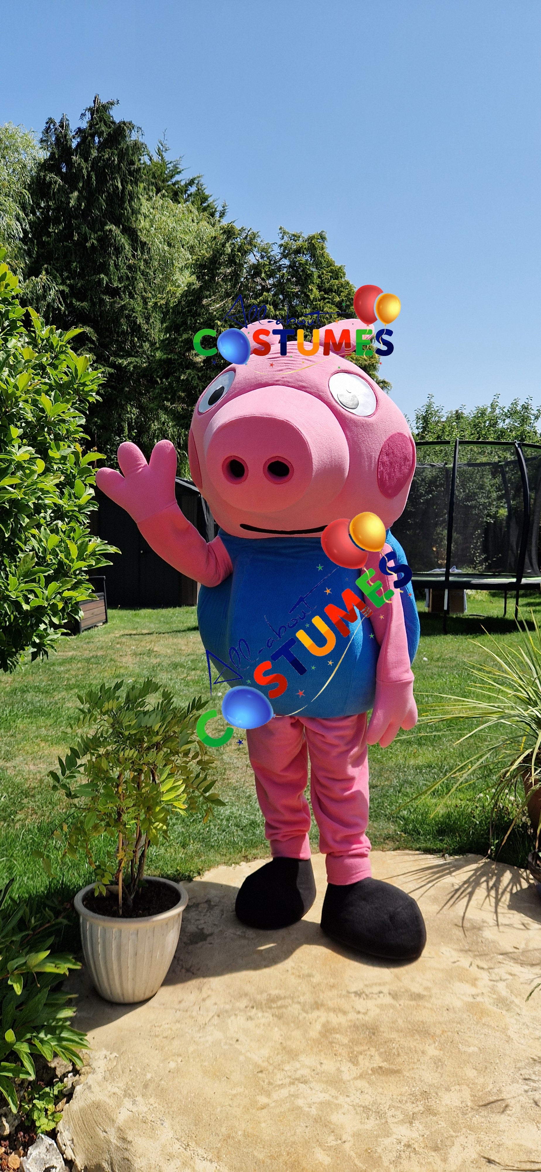 George Pig Family