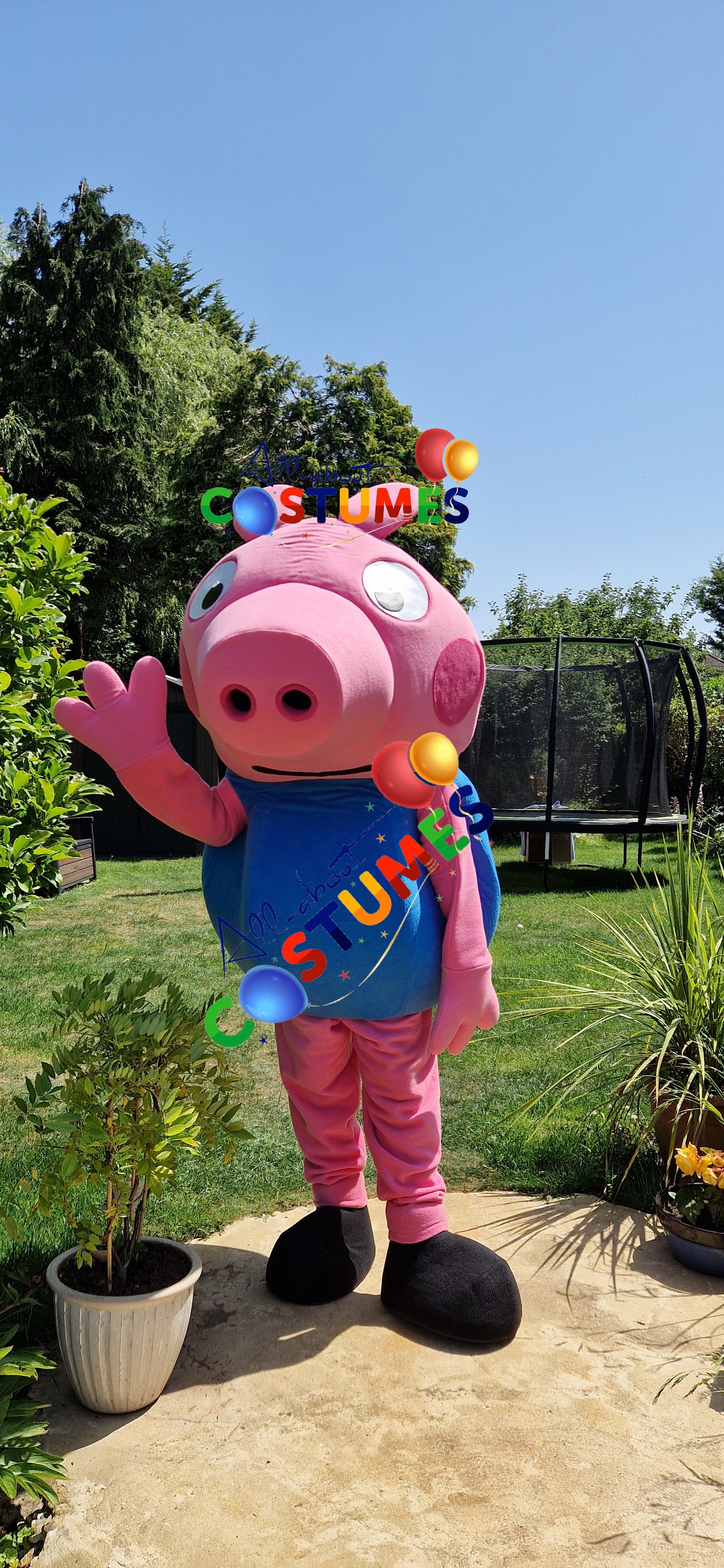 George Pig Family