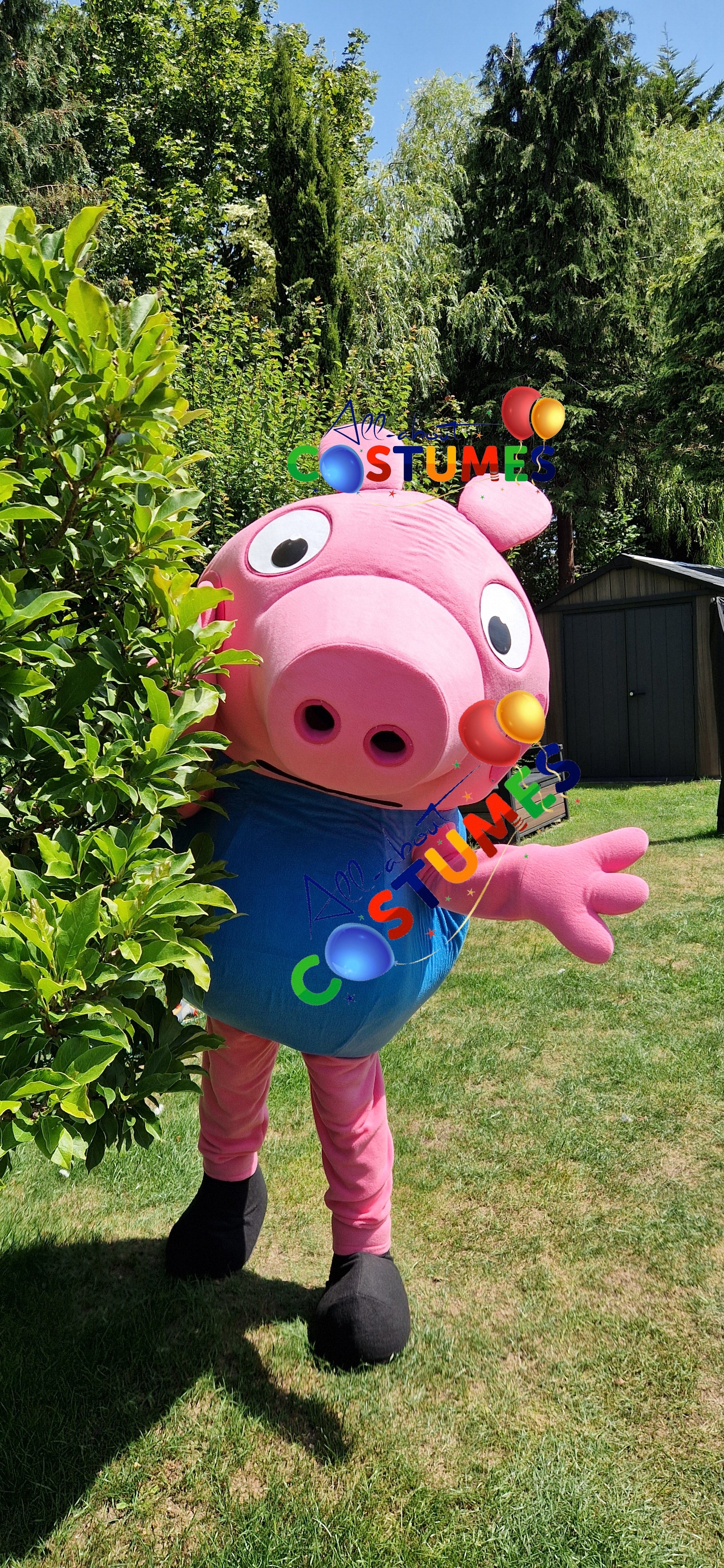 George Pig Family