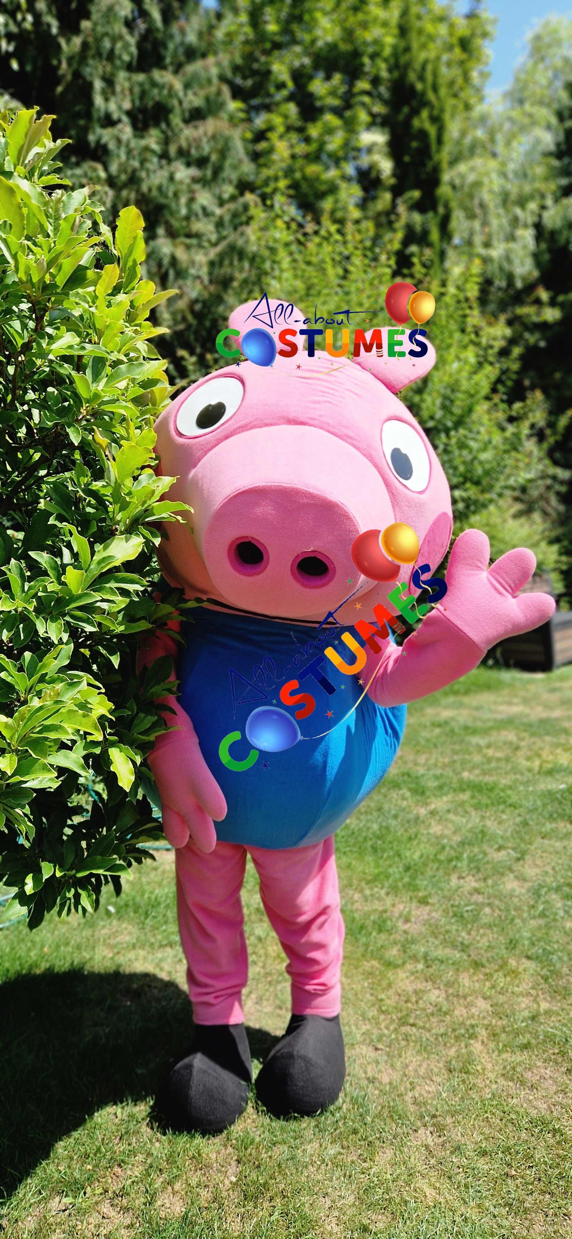 George Pig Family
