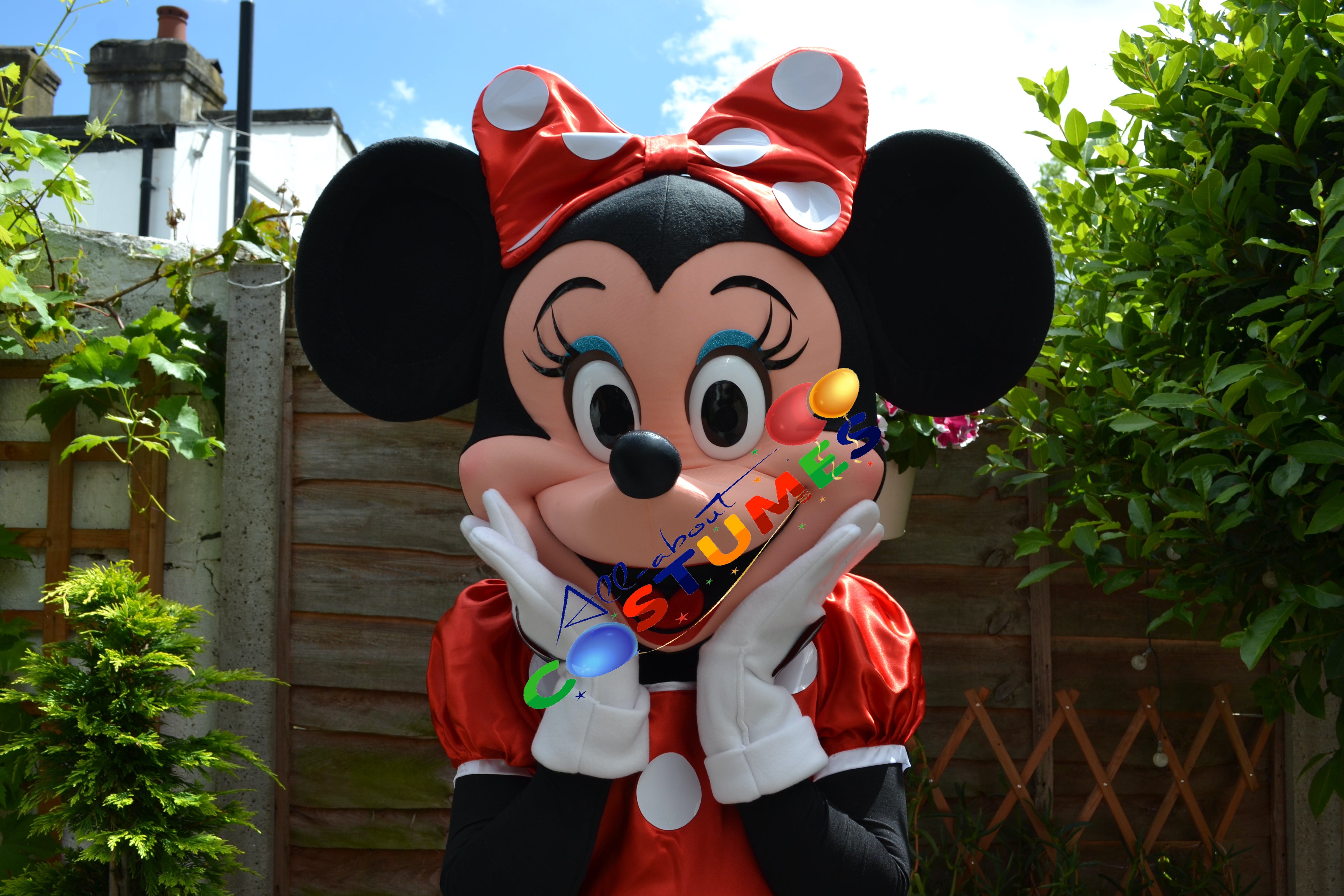 Disfraz de Minnie Mouse