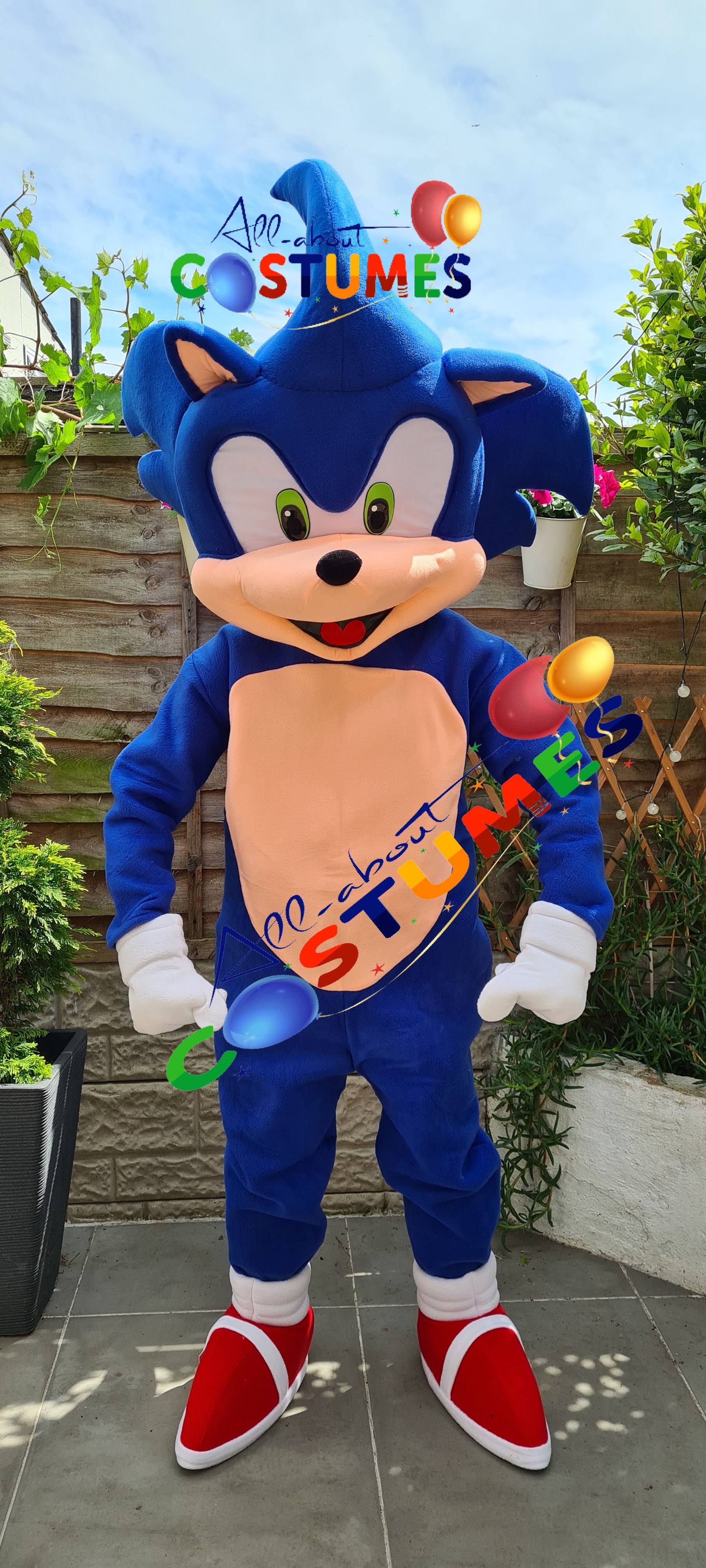 Sonic el erizo