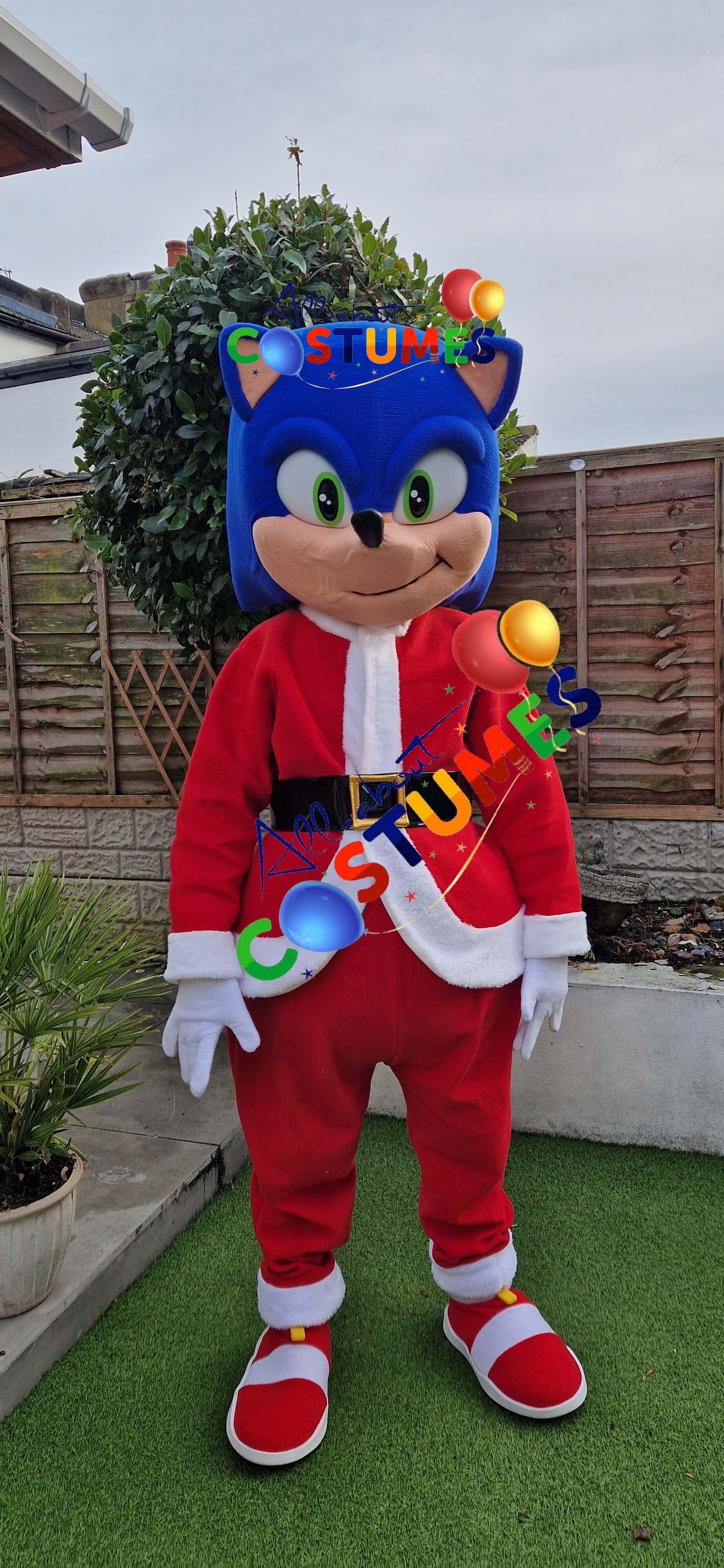 Z Elf en el estante Navidad
