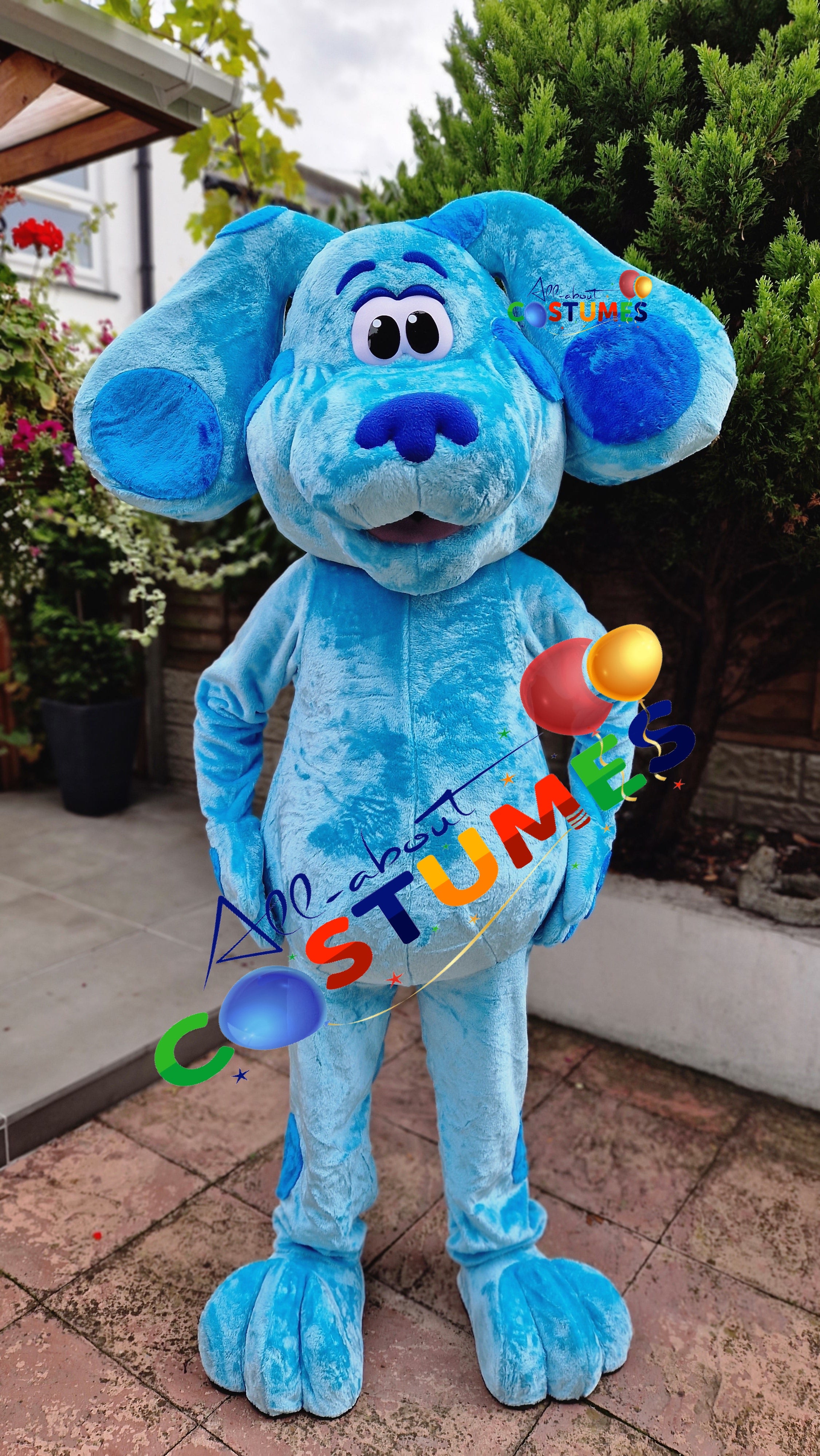 Blue's Clues and You