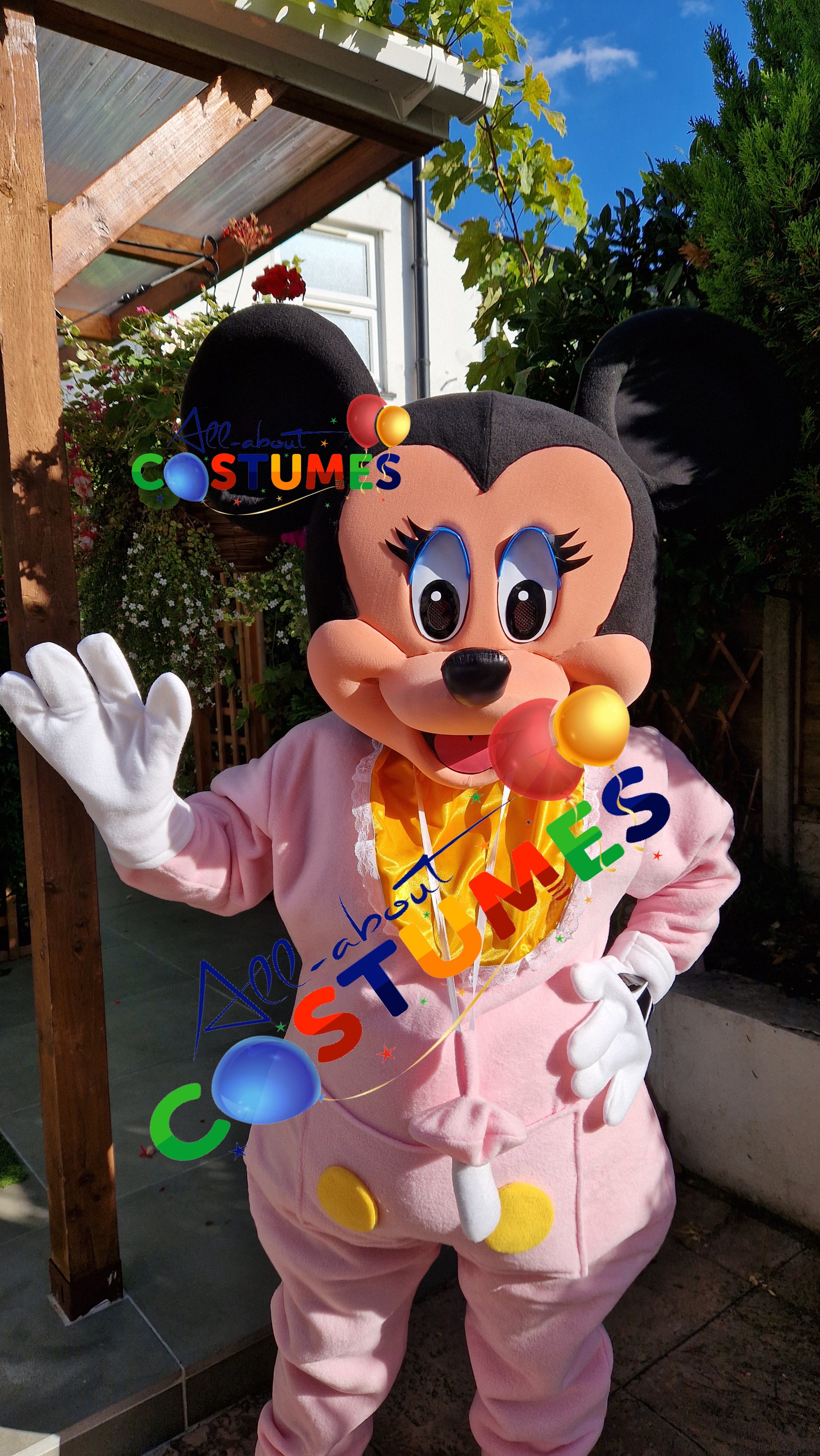 SAB Mickey y Minnie REVELACIÓN DE GÉNERO