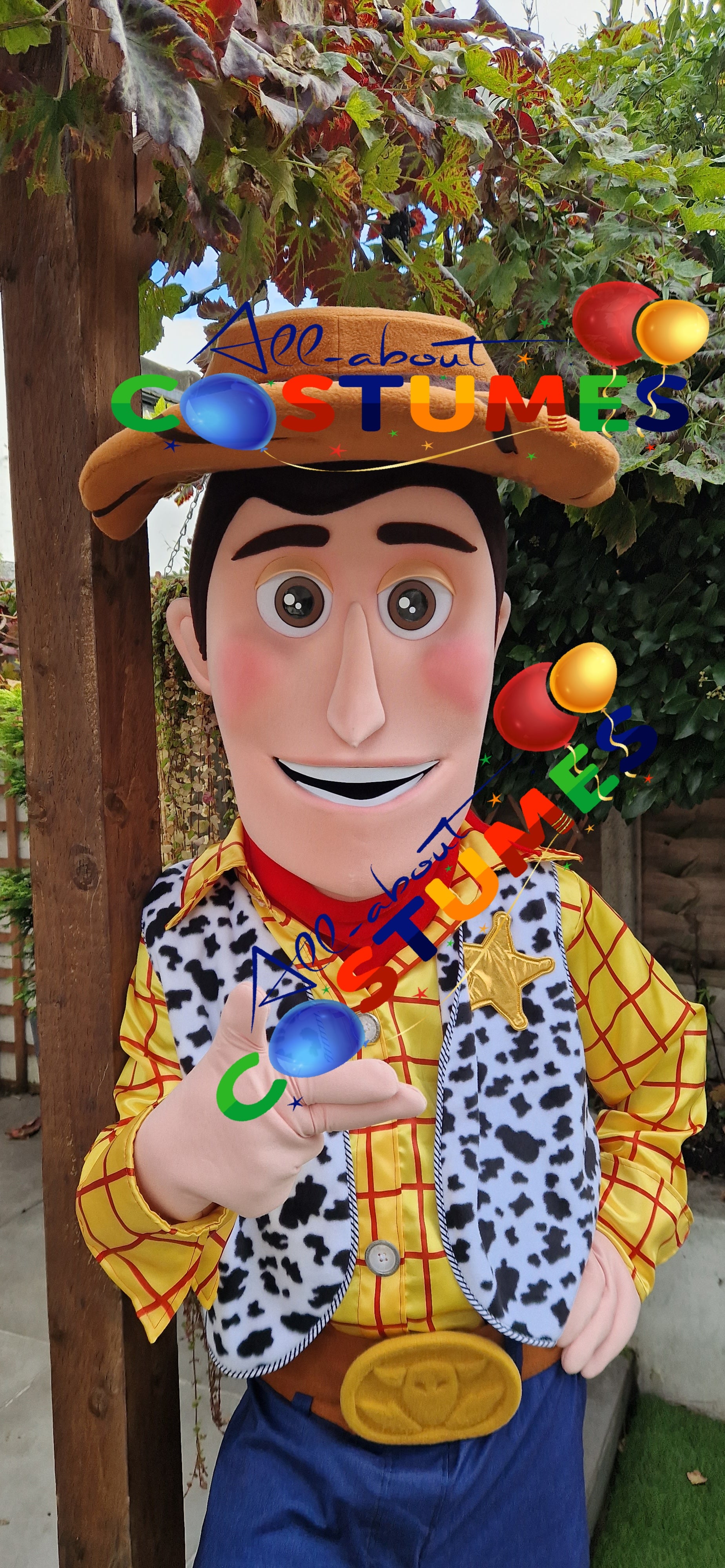 Toy Story Woody