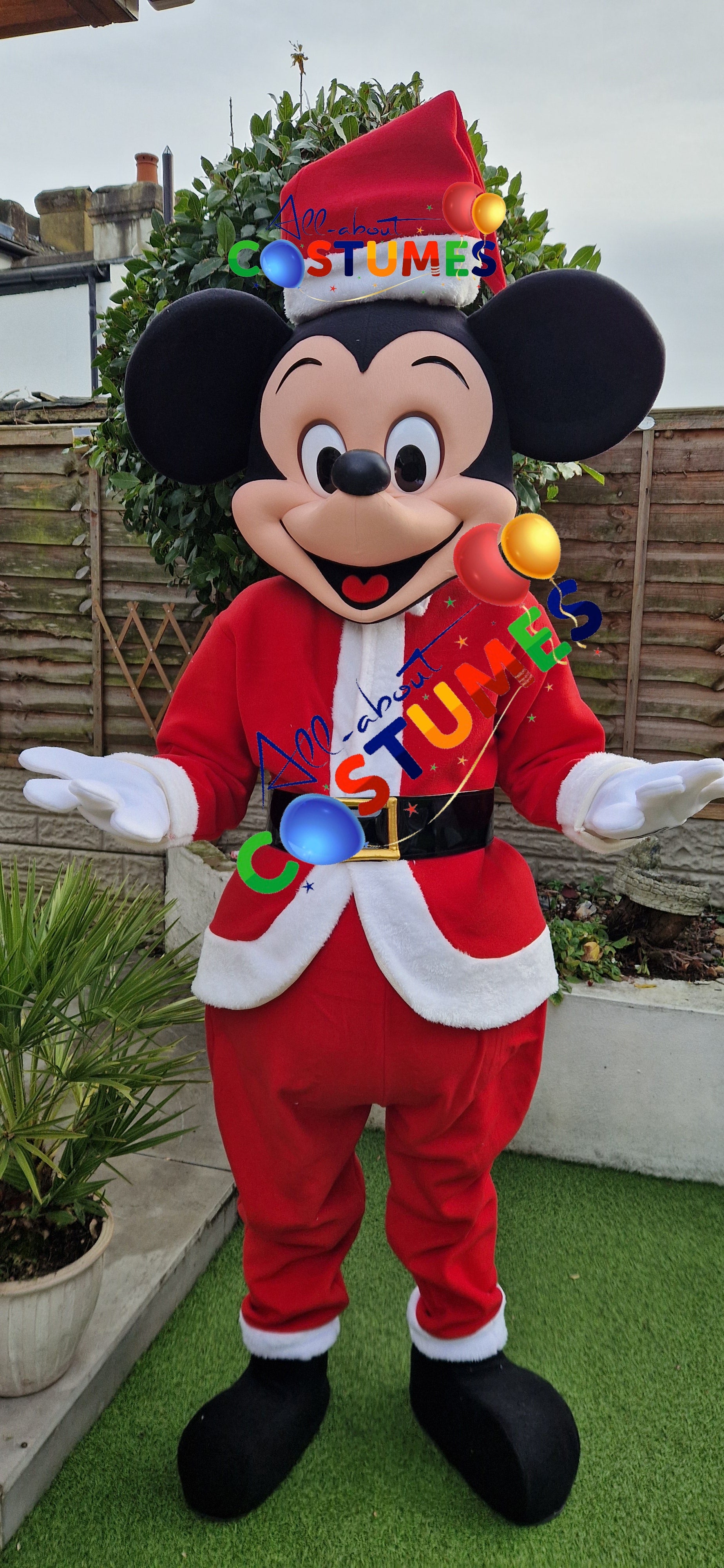 Z Elf en el estante Navidad