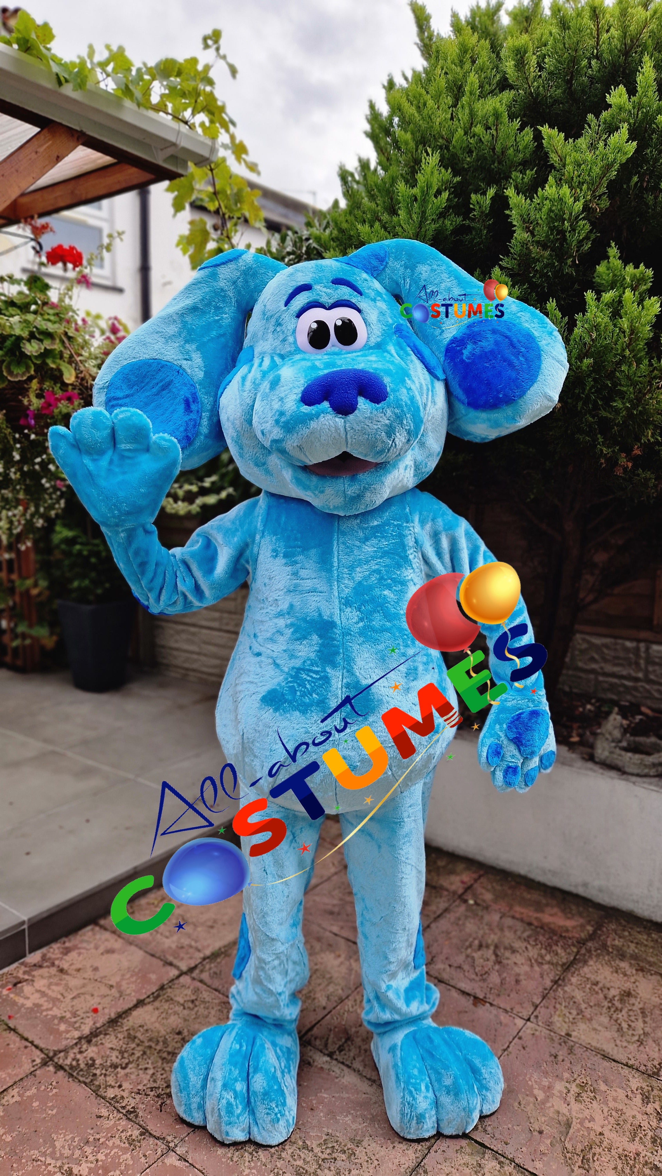 Blue's Clues and You