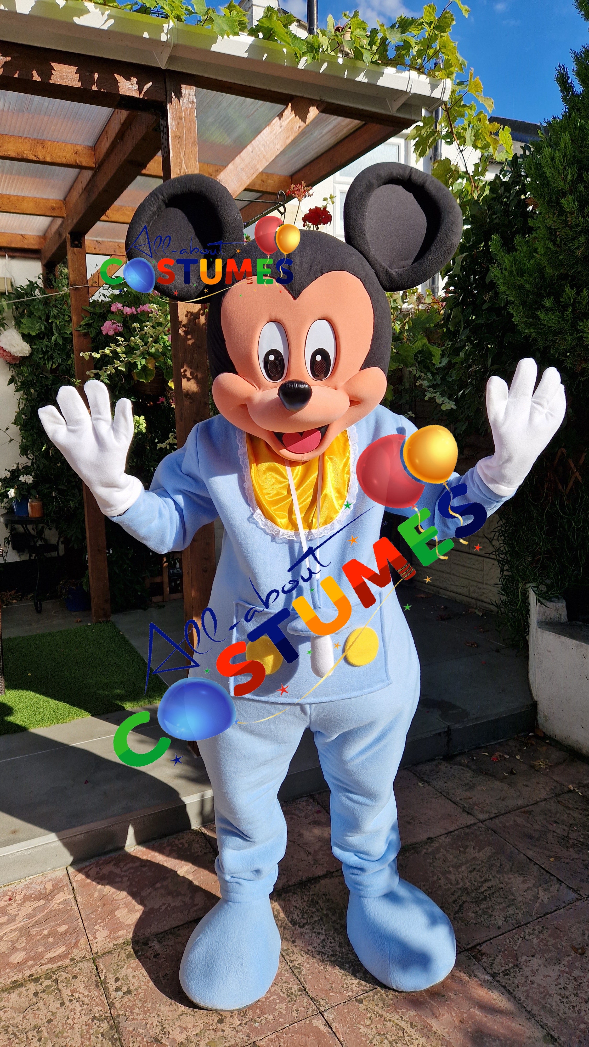 SAB Mickey y Minnie REVELACIÓN DE GÉNERO