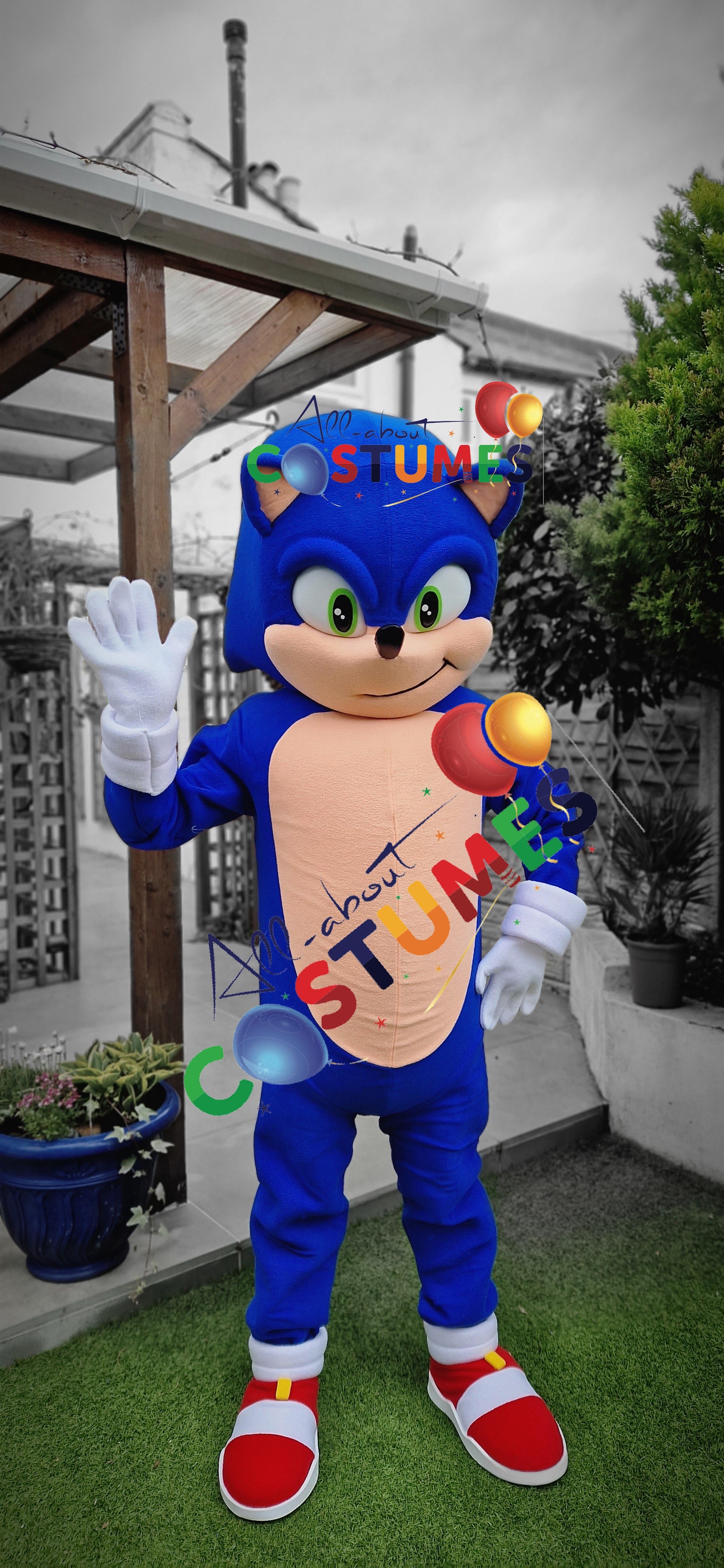 Sonic rápido de lujo
