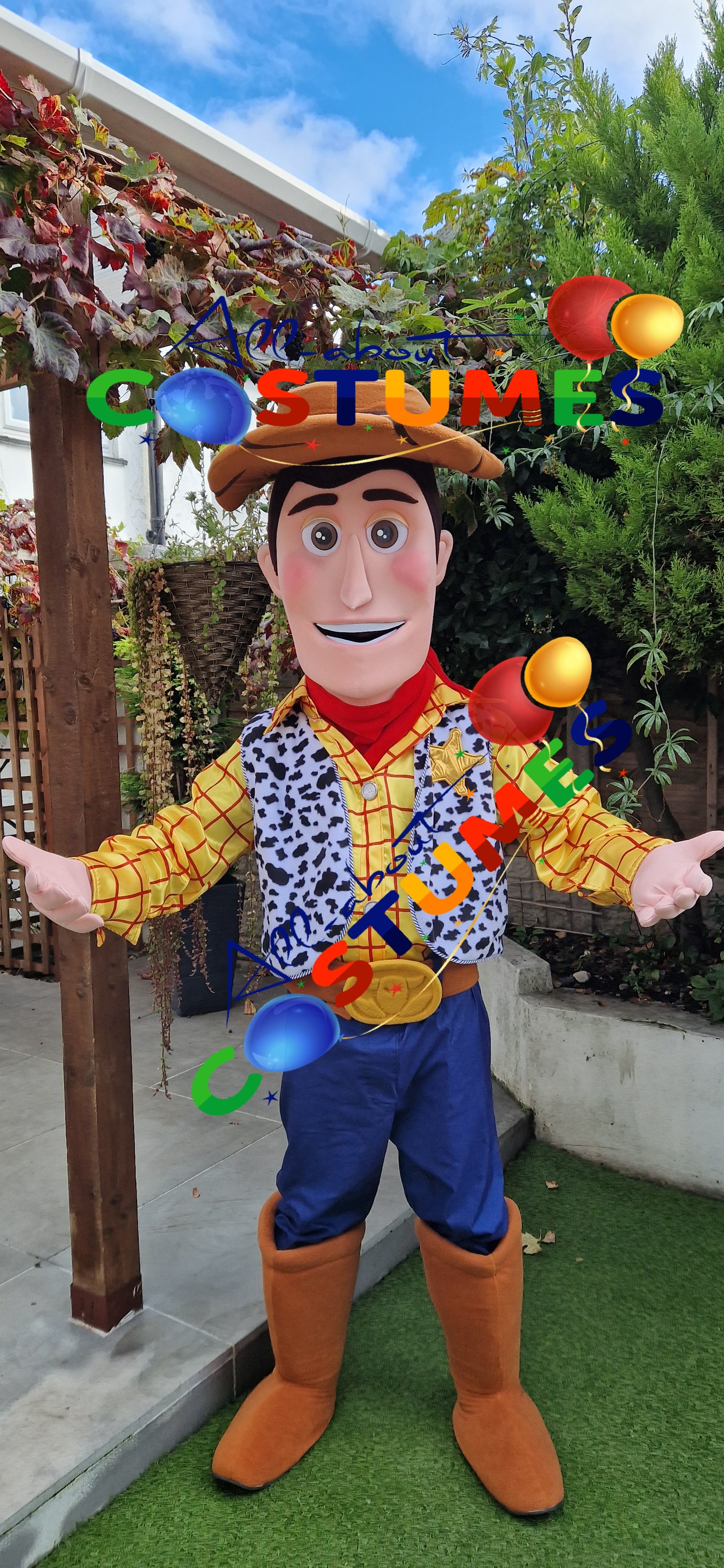Toy Story Woody