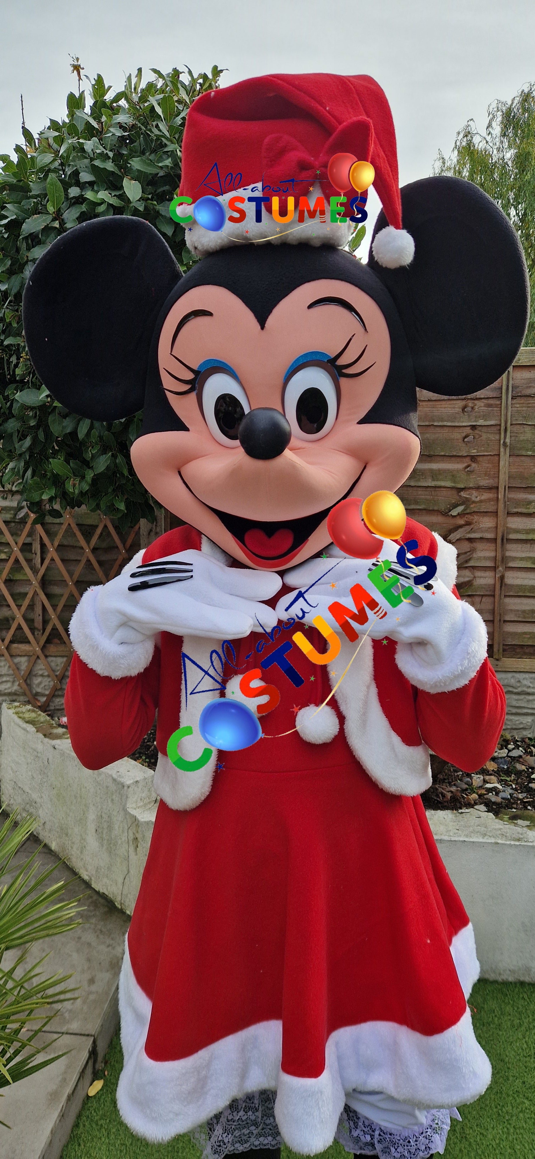 Z Elf en el estante Navidad