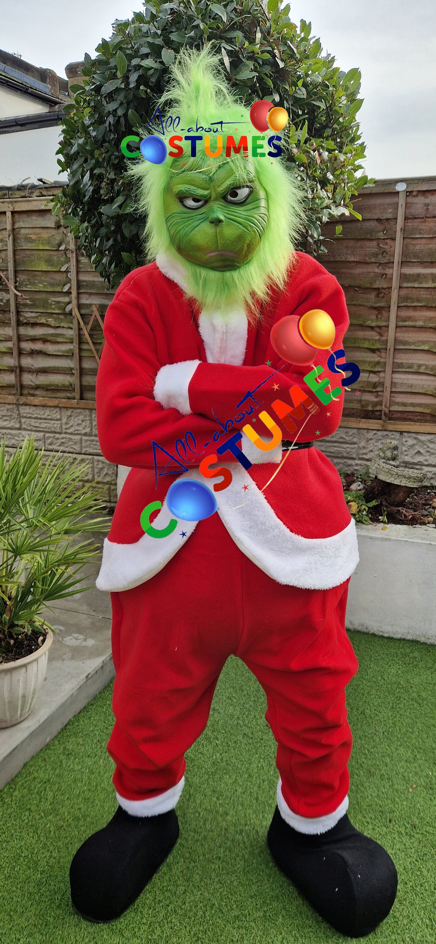 Z Elf en el estante Navidad