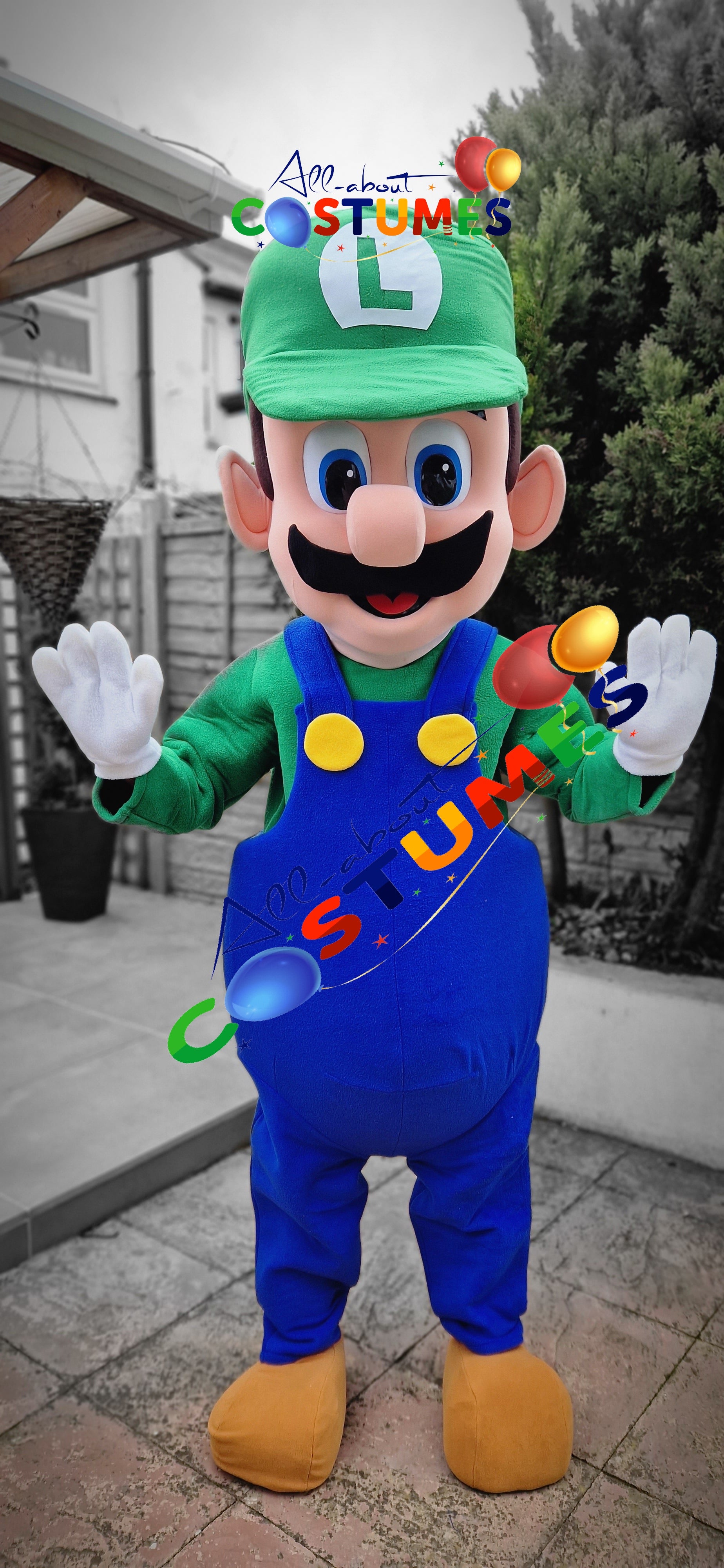 luigi