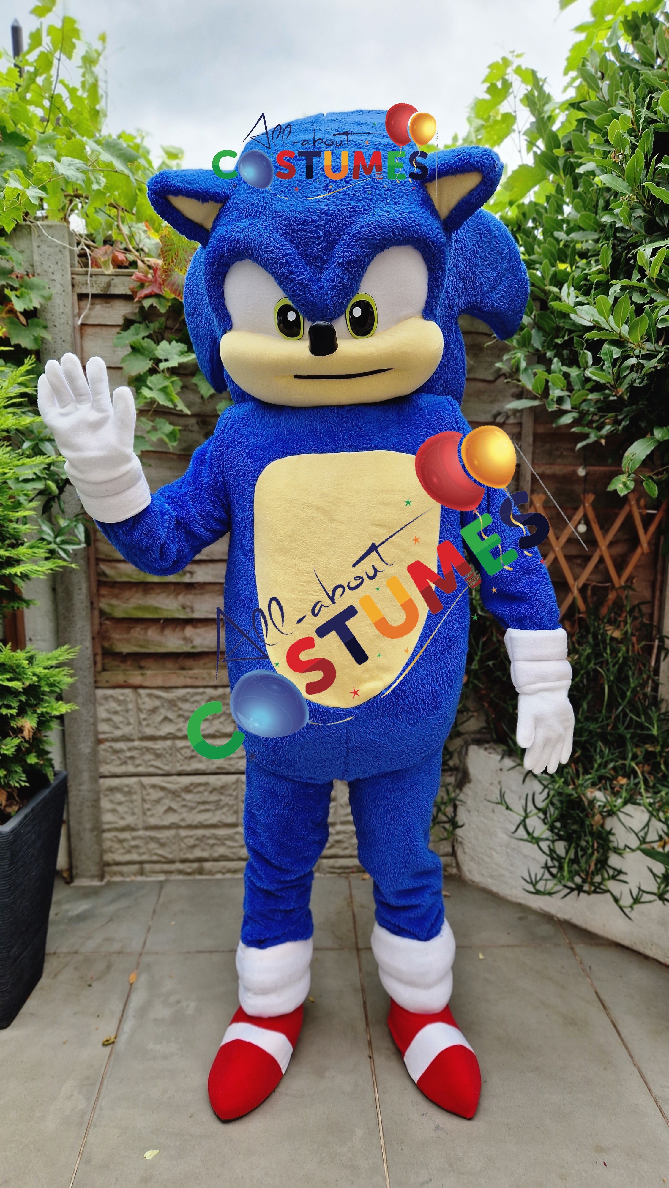 Sonic el erizo Edición limitada