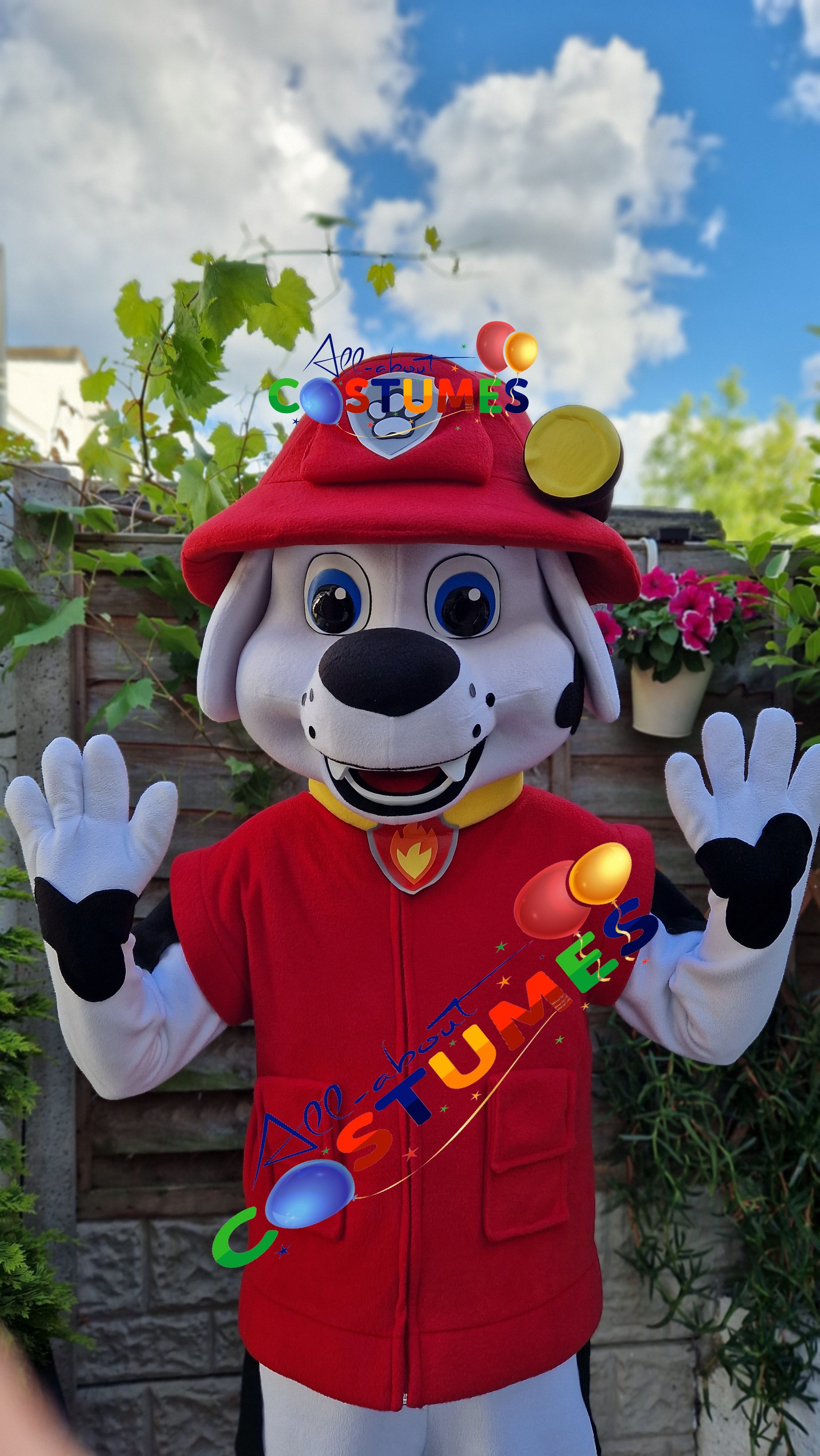 Marshall de la Patrulla Canina