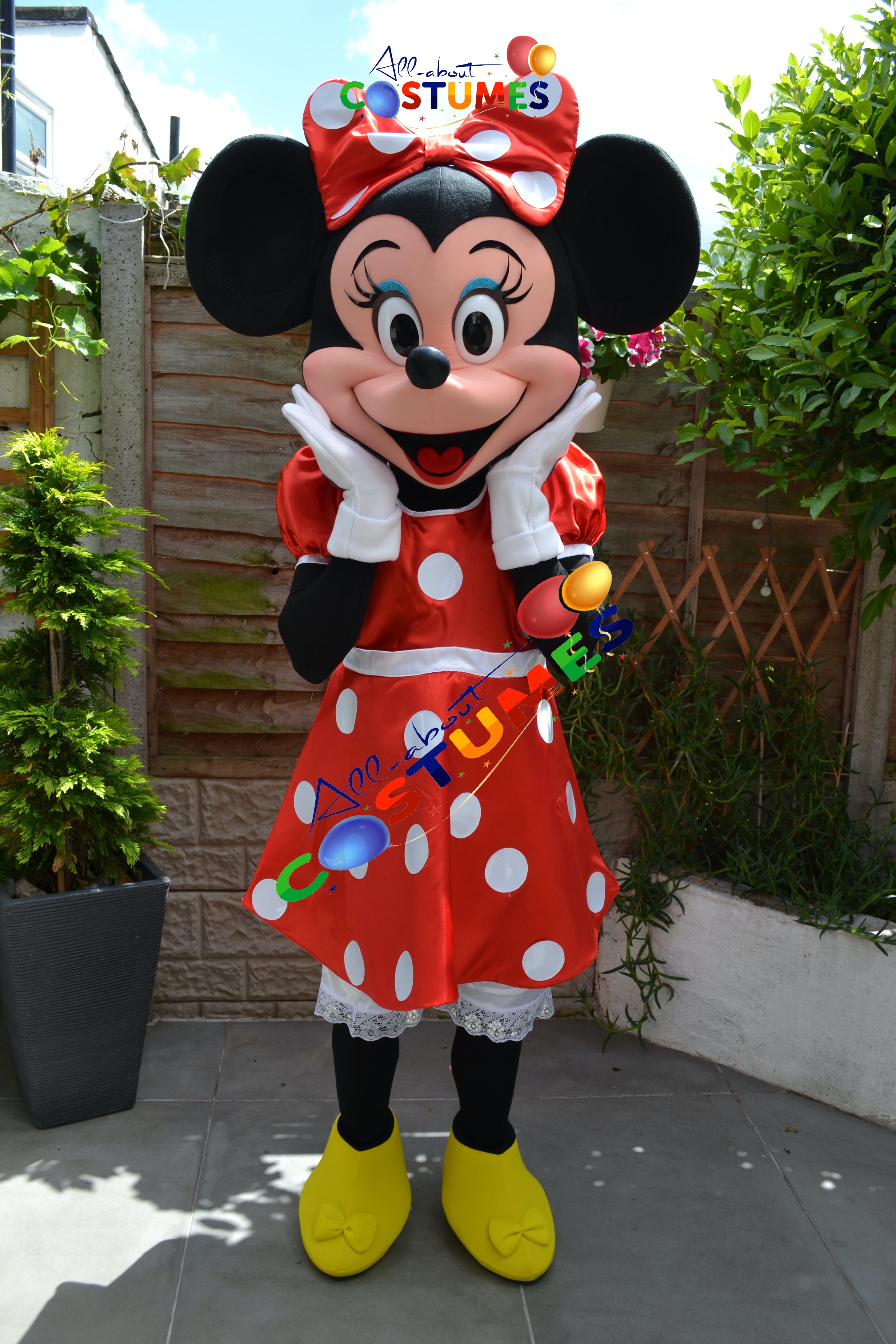 Minnie Mouse Costume