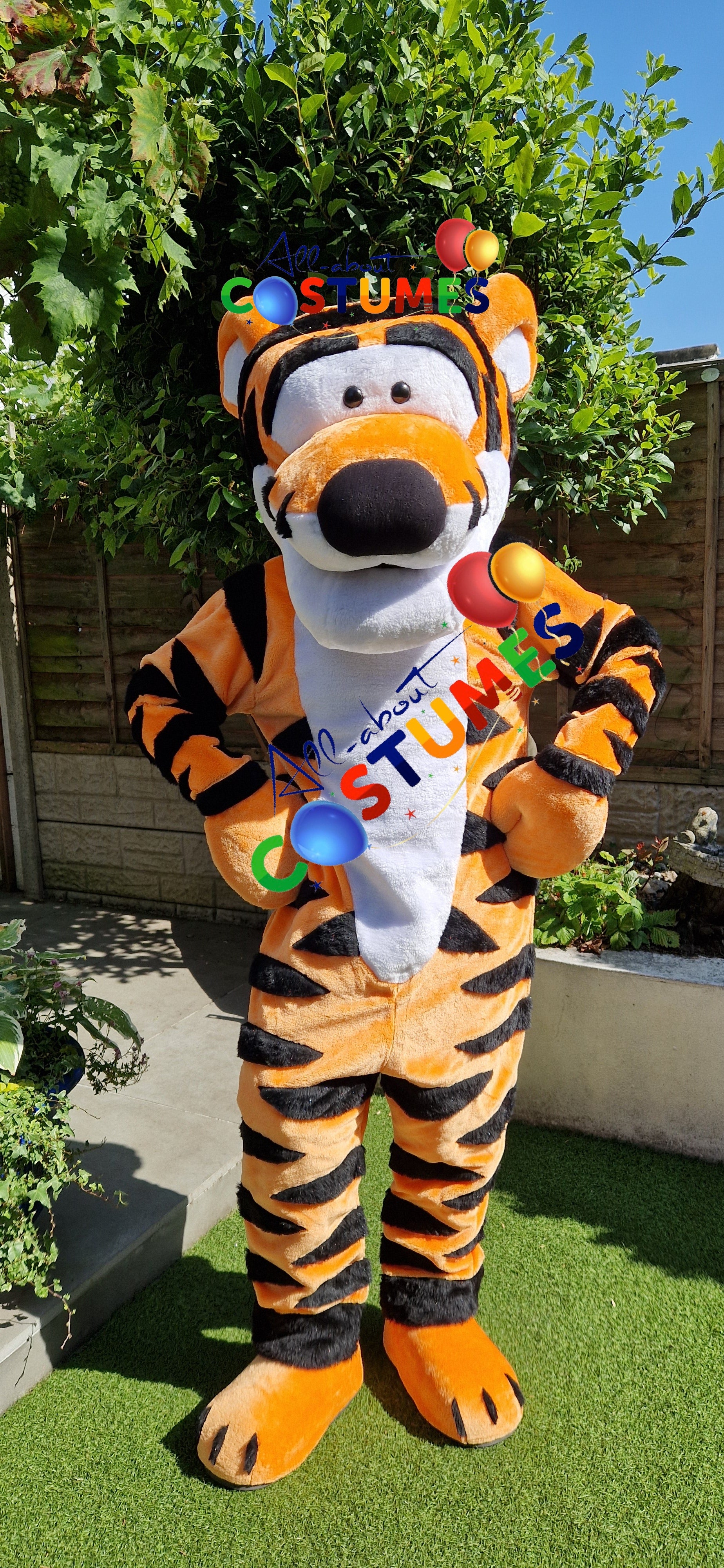 Tigger Winnie the Pooh Bear