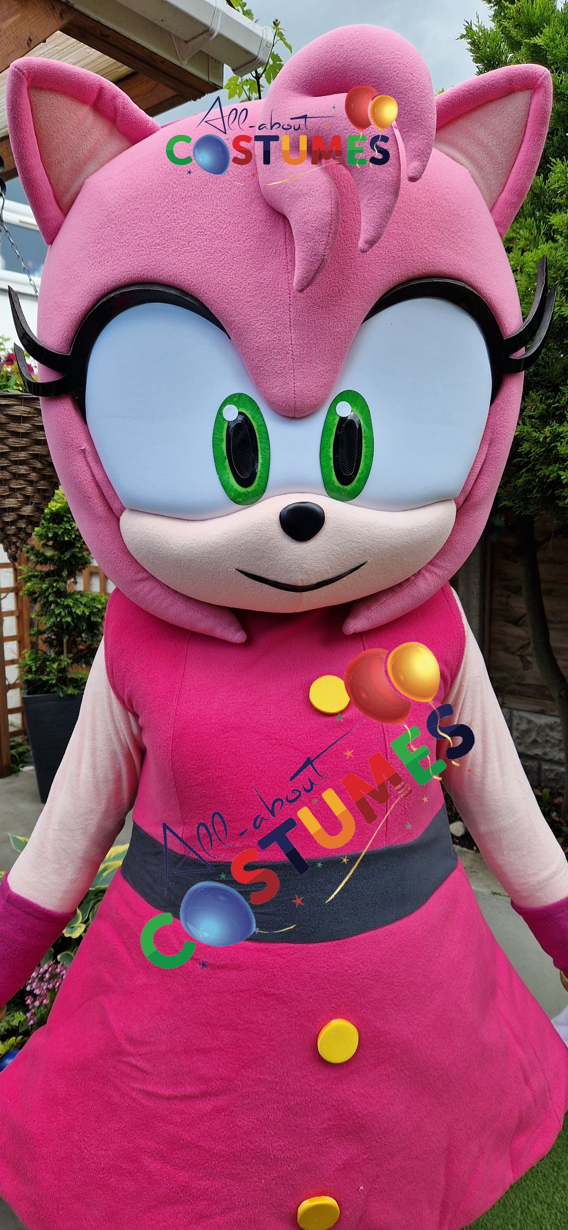 Amy Rose Sonic X