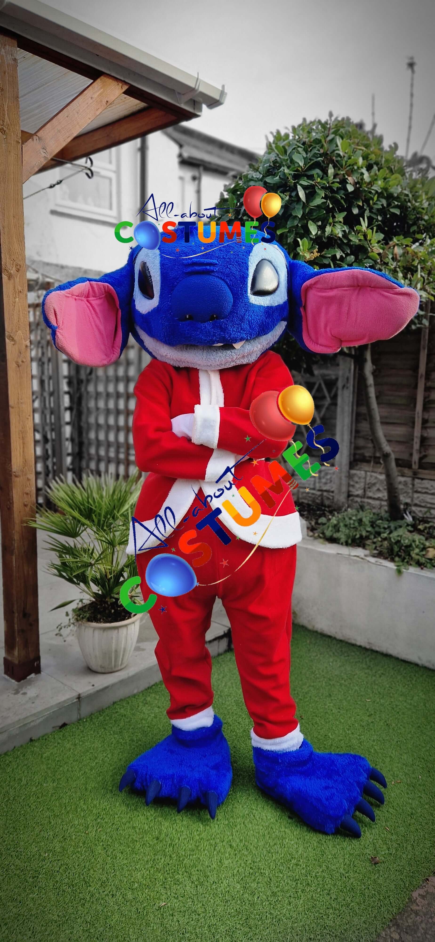 Z Elf en el estante Navidad