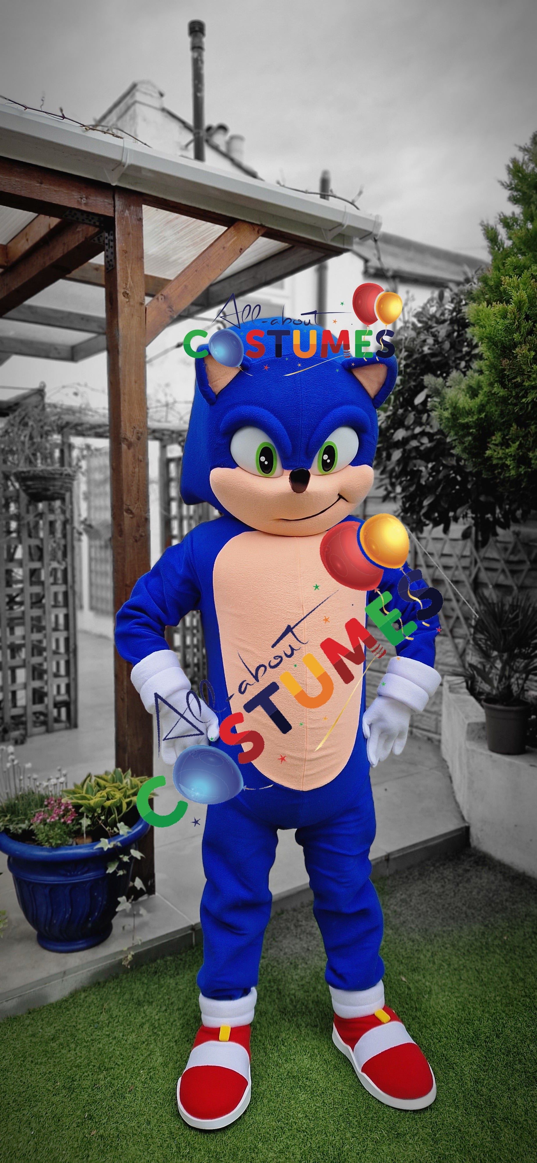 Sonic rápido de lujo