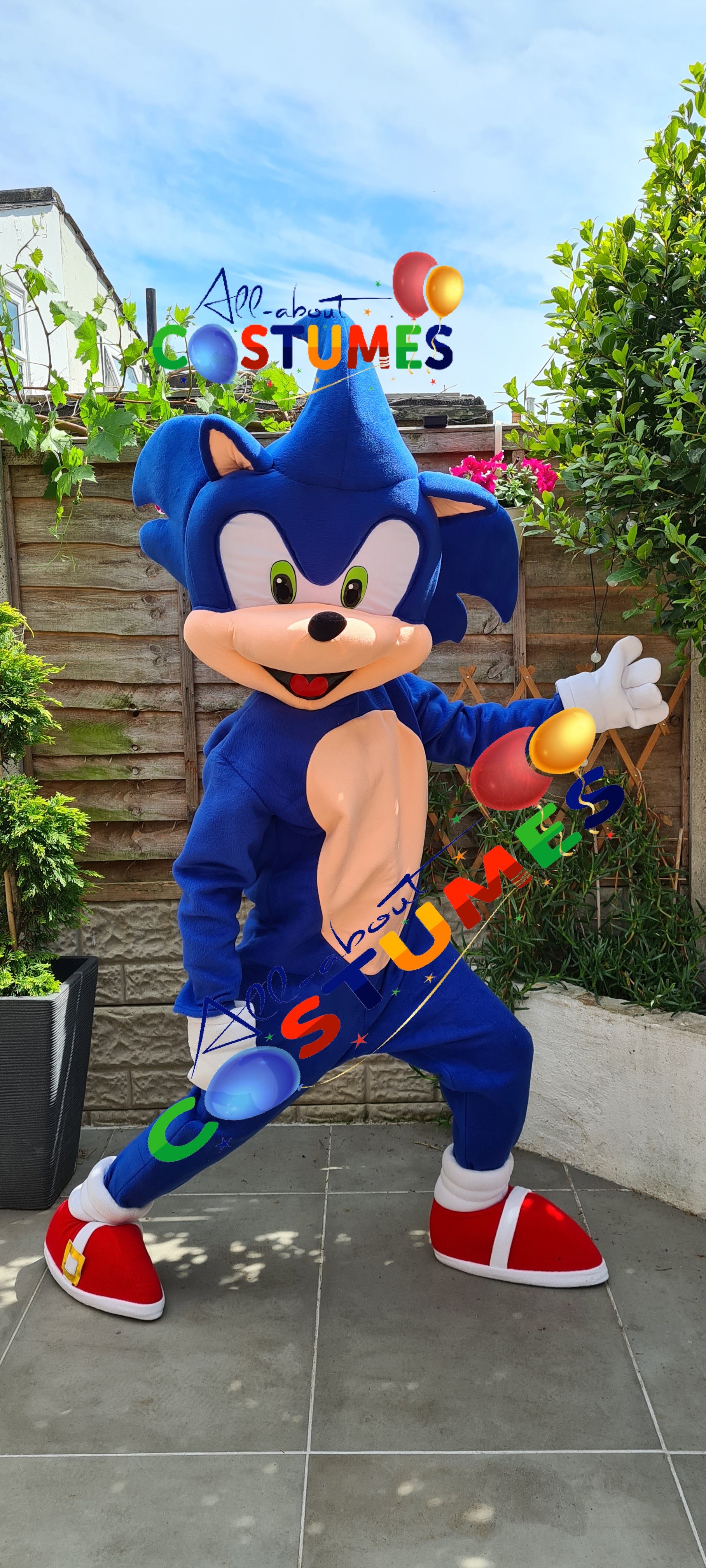 Sonic el erizo