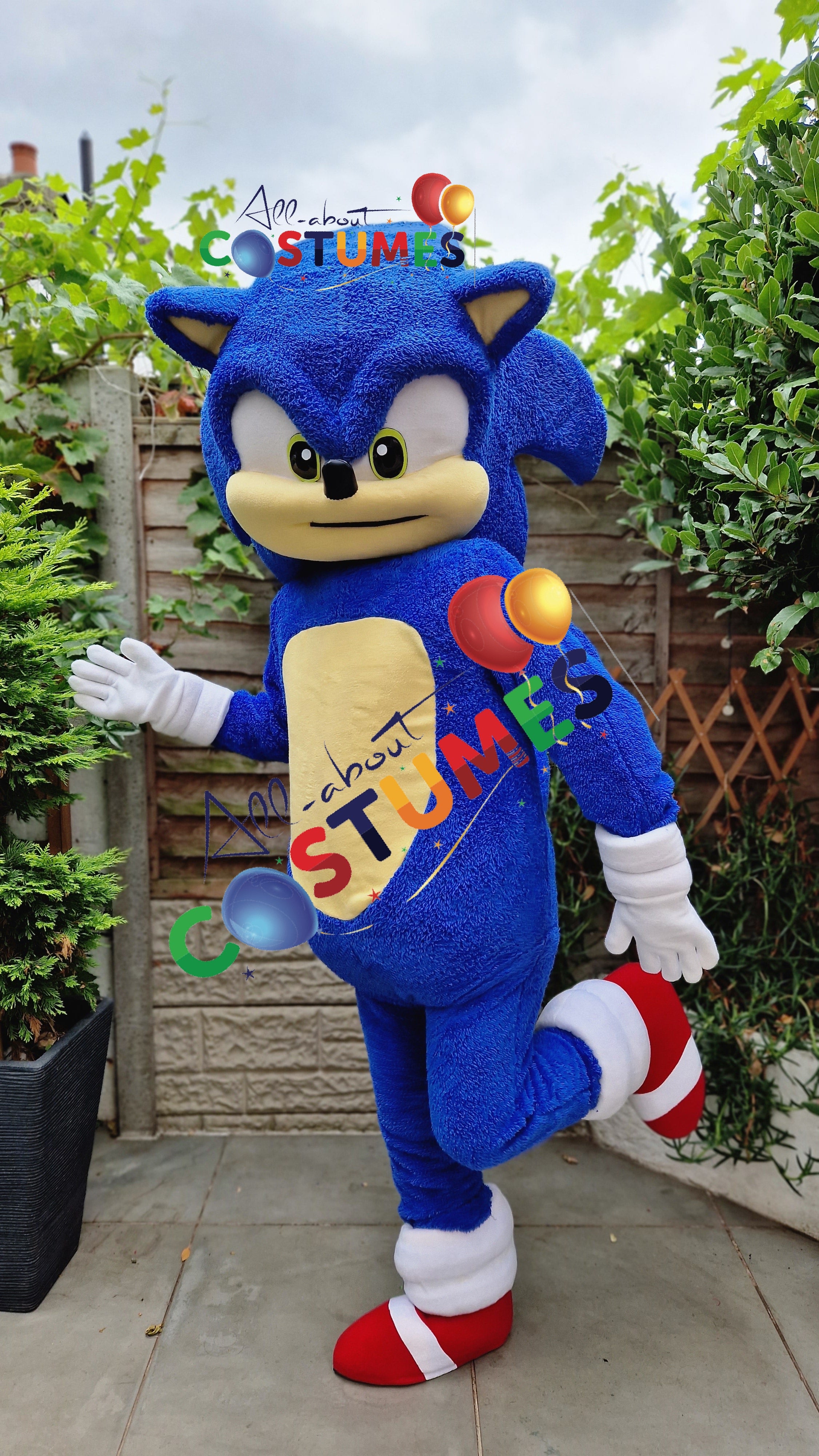 Sonic el erizo Edición limitada